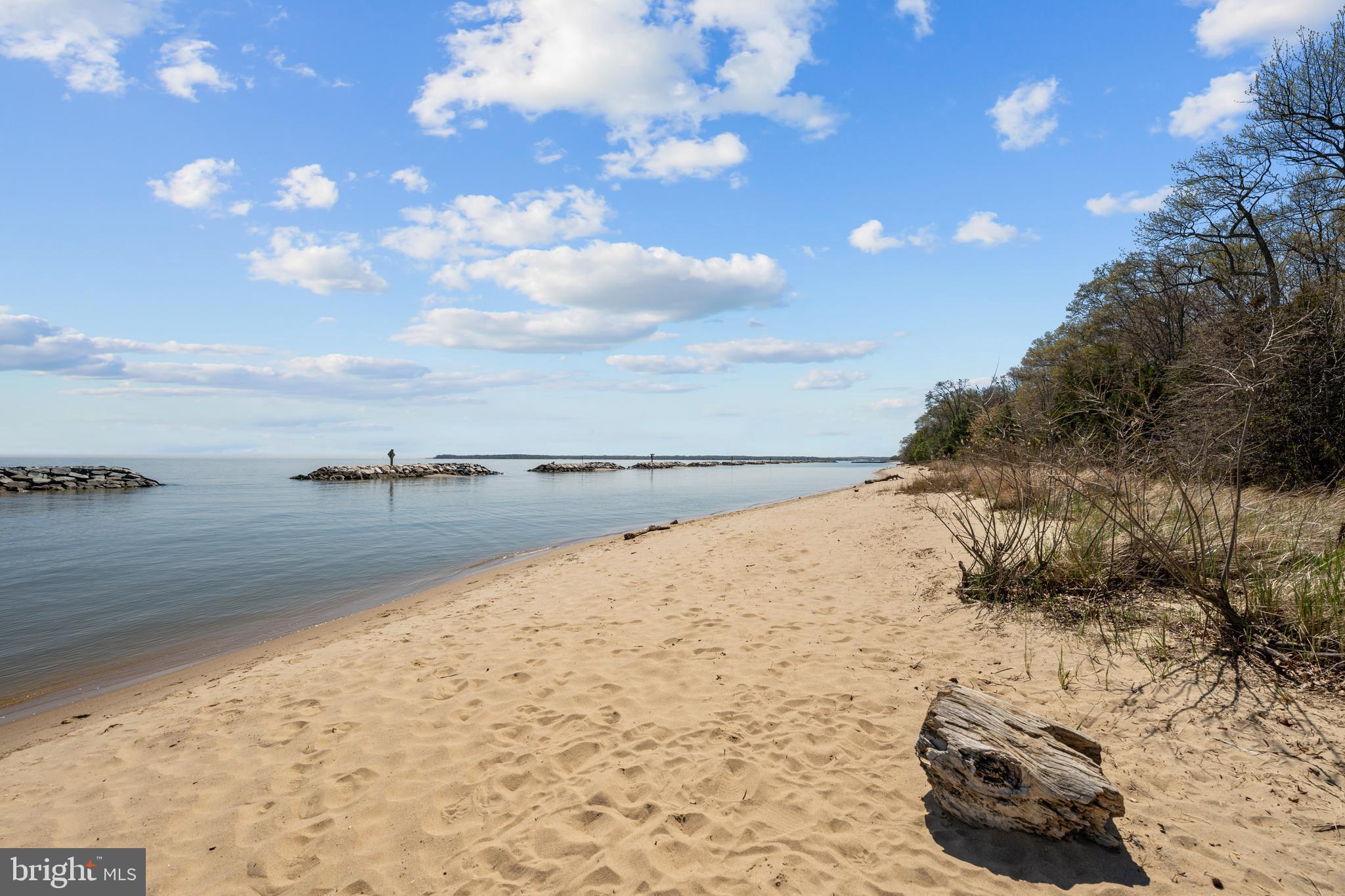 3319 MULBERRY STREET