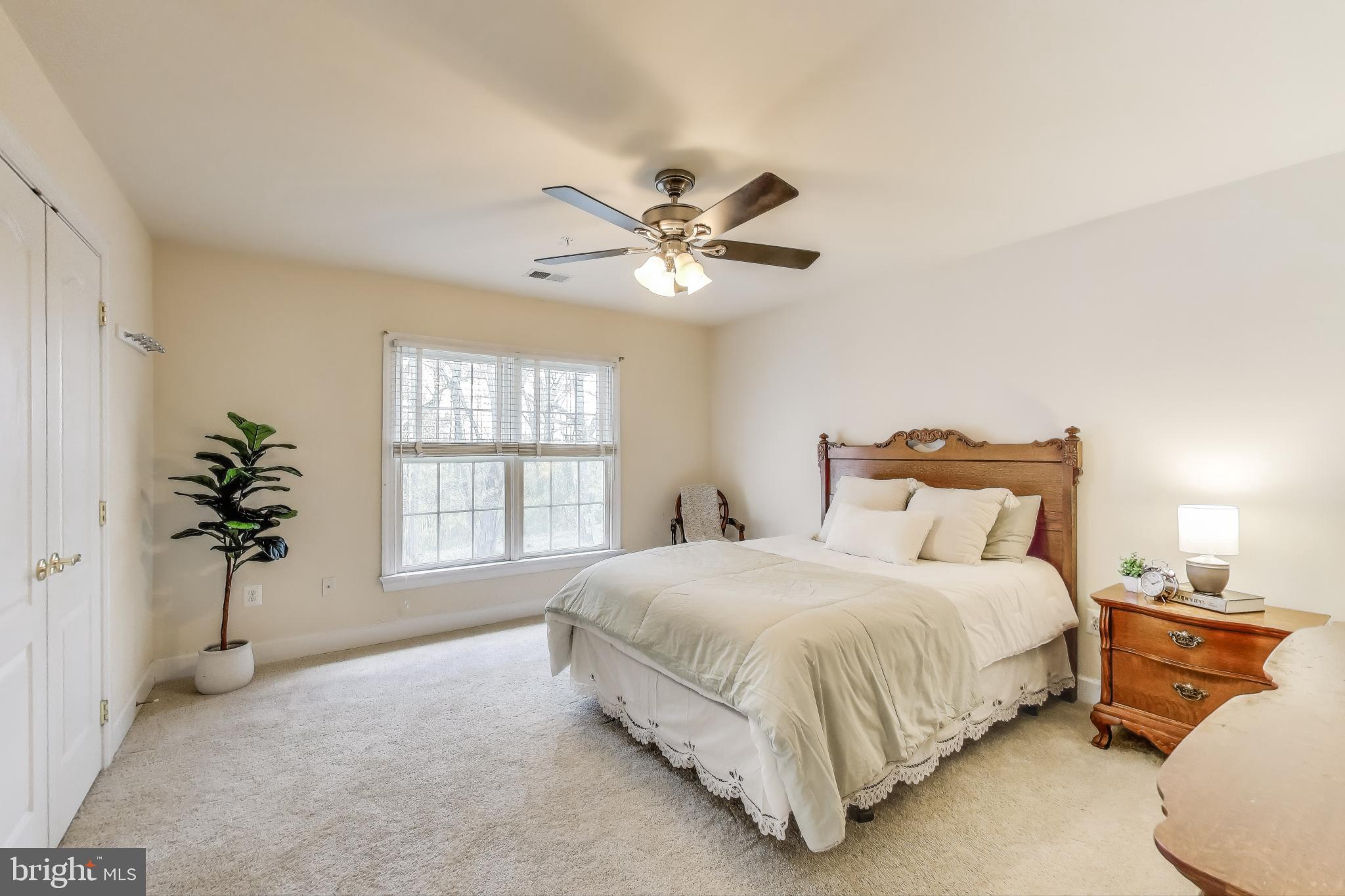 13309 Big Cedar Ln