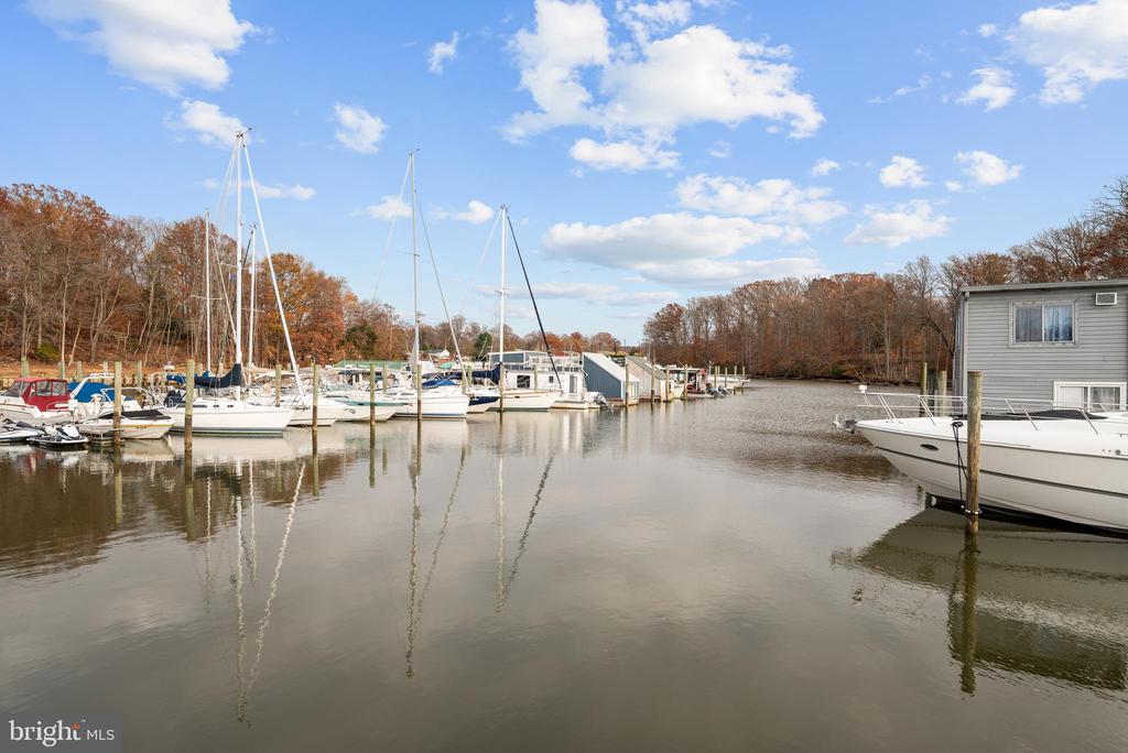12301 FIRTH OF TAE DRIVE