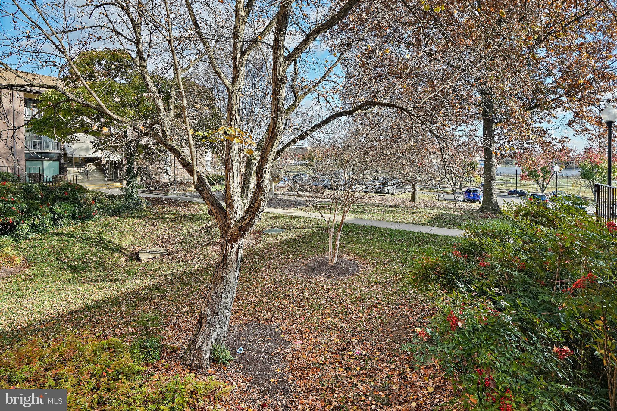 7712 HANOVER PARKWAY 104