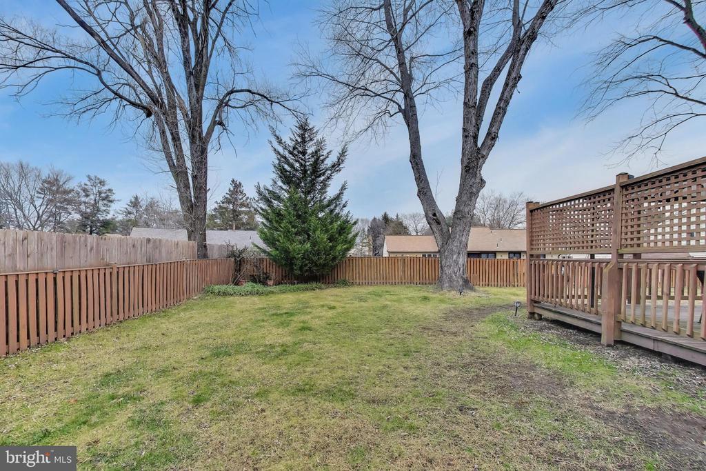 15510 PEACH WALKER DRIVE