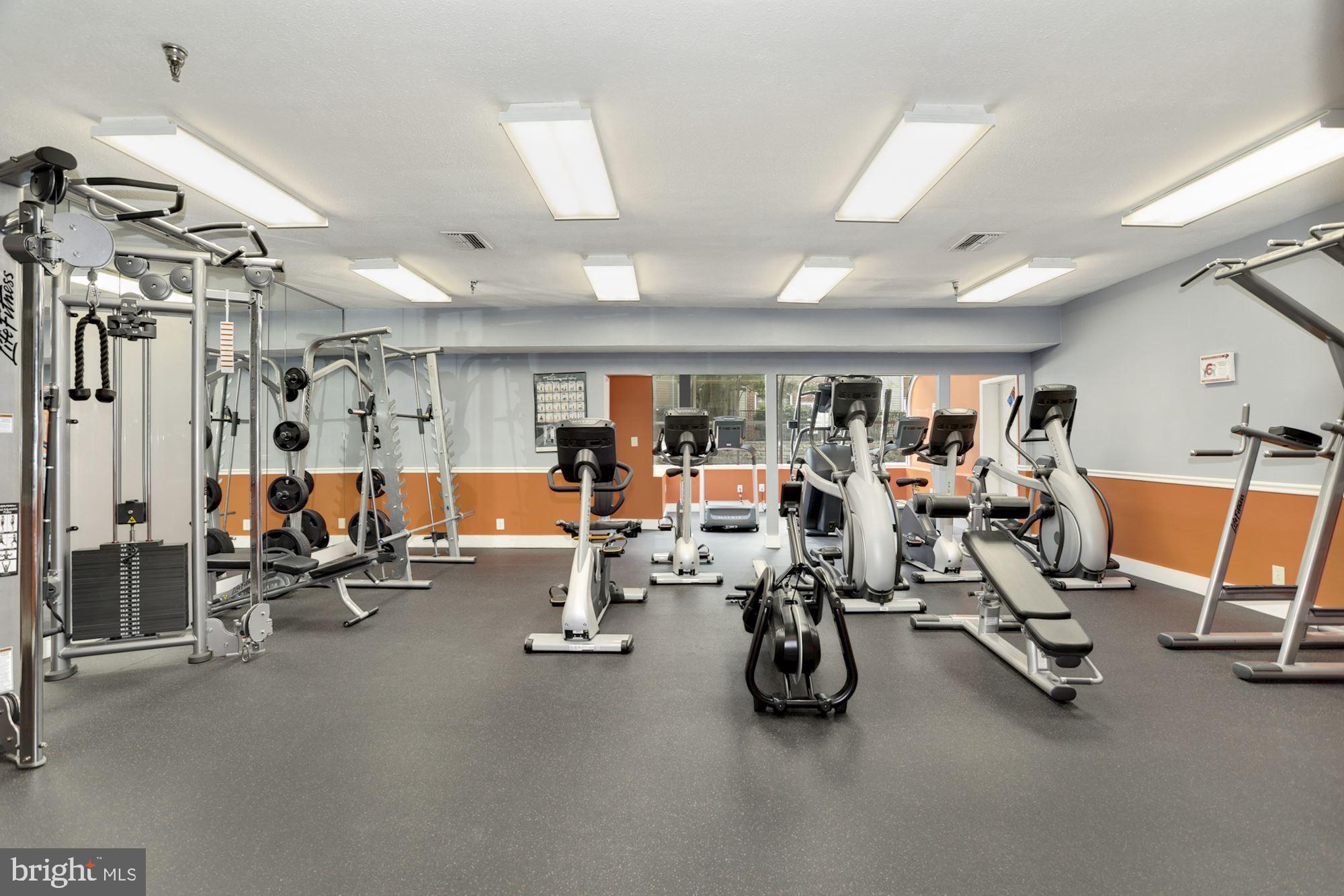3313 Wyndham Circle Unit: 4203