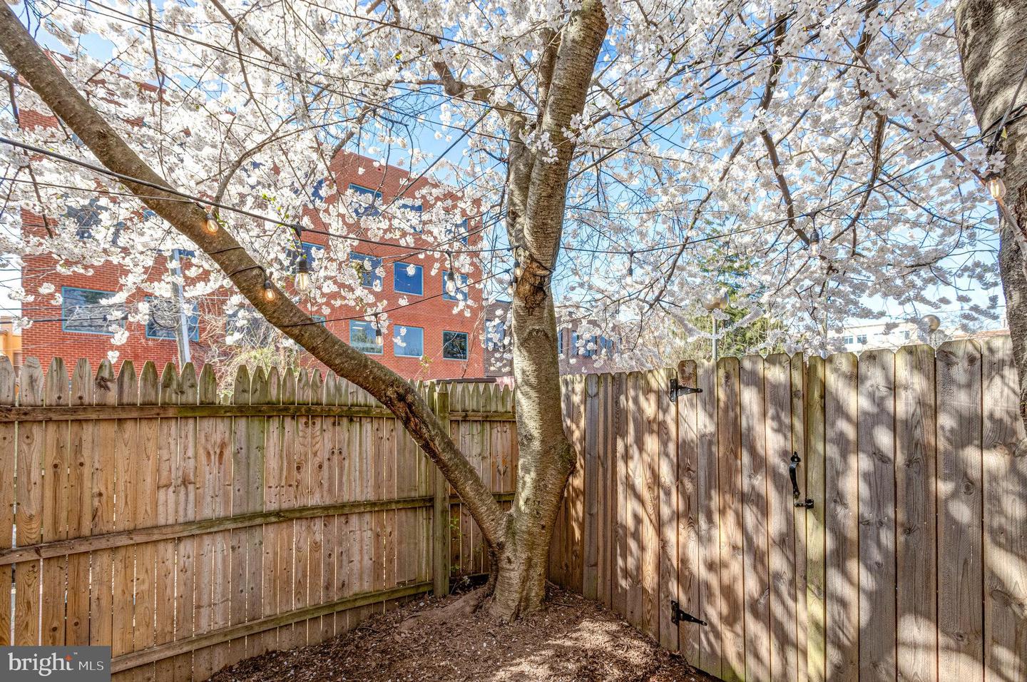 116 Baggett Pl