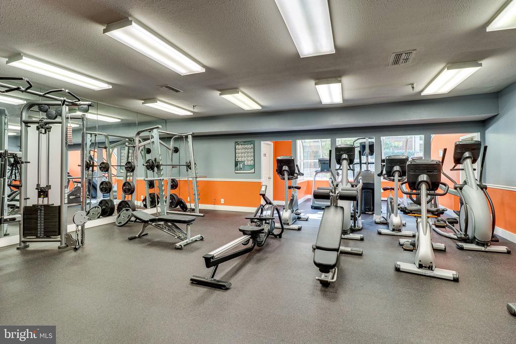 3309 Wyndham Cir #3184