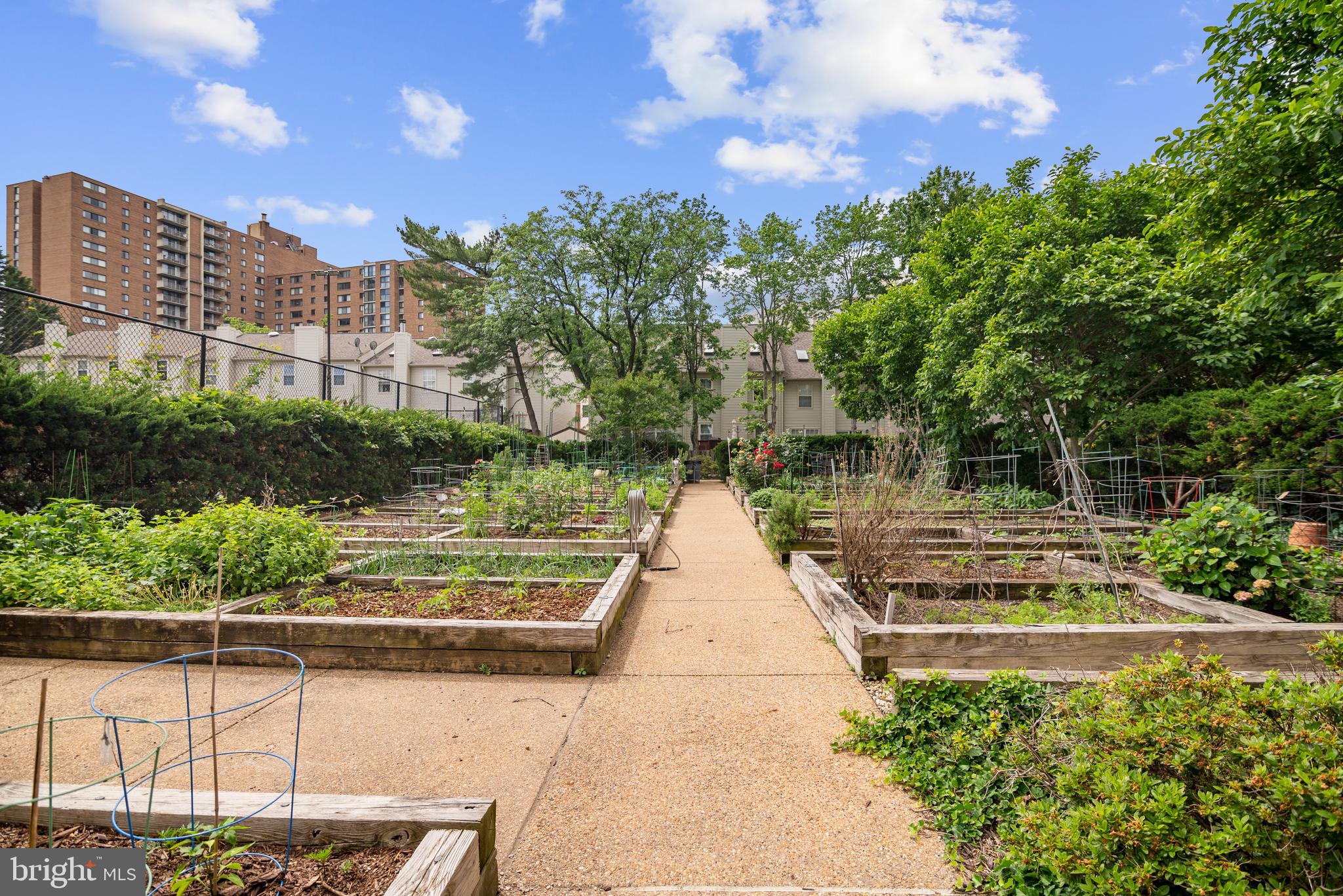 5300 Holmes Run Pkwy #403