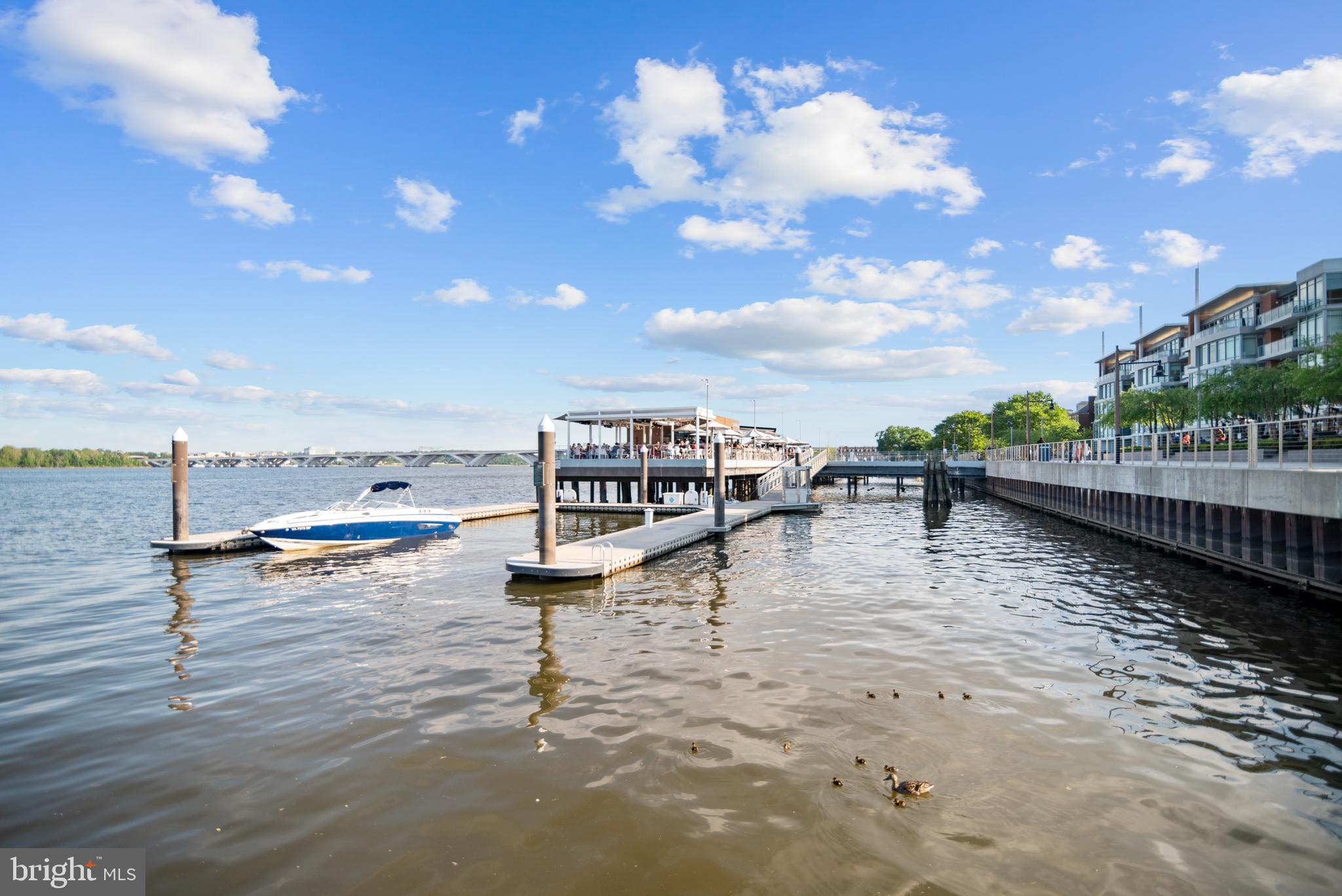 545 E Braddock Rd E #302