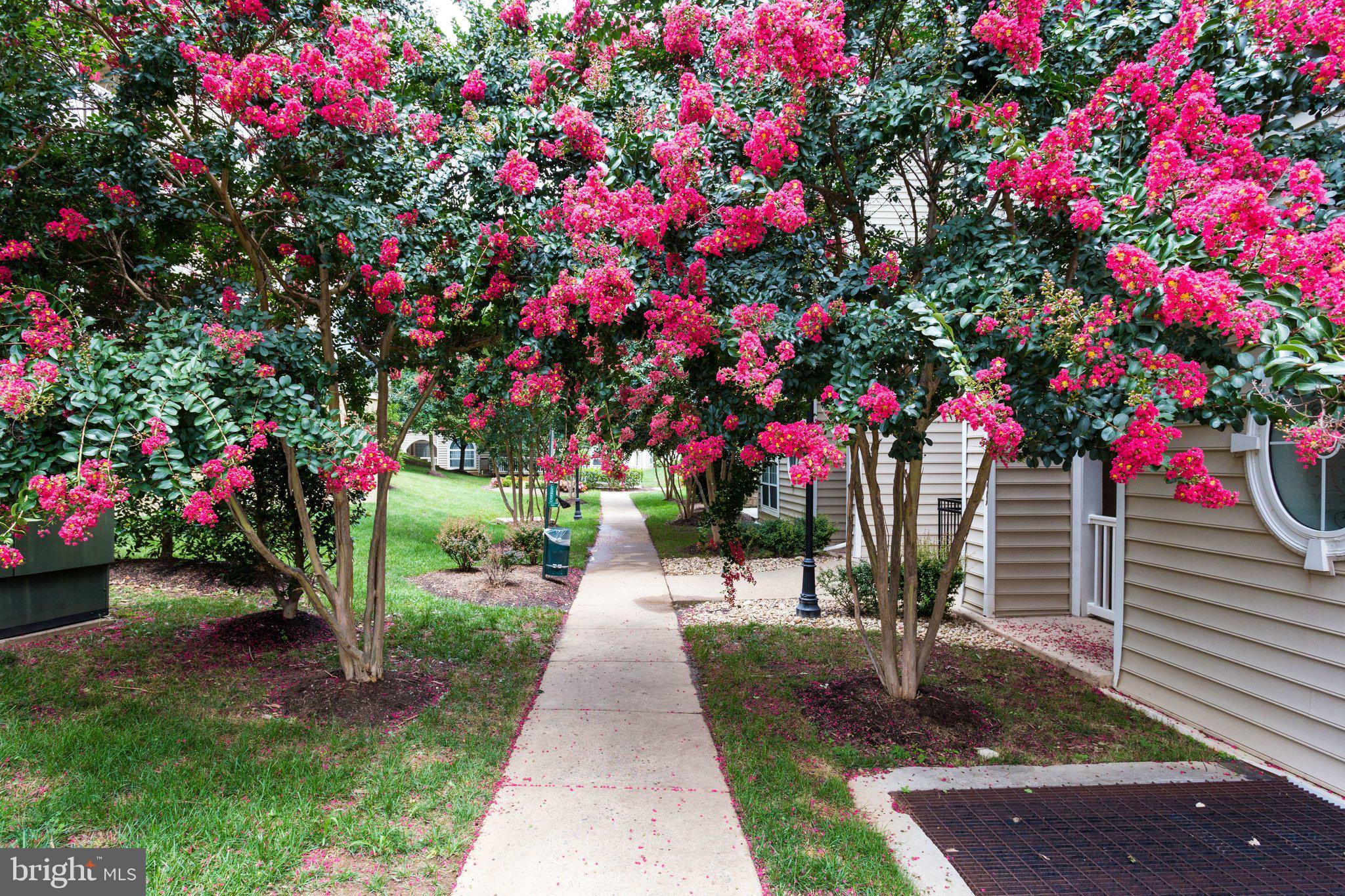 4560 STRUTFIELD LANE 1110