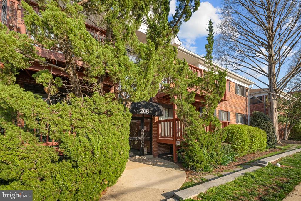 205 SKYHILL ROAD 4