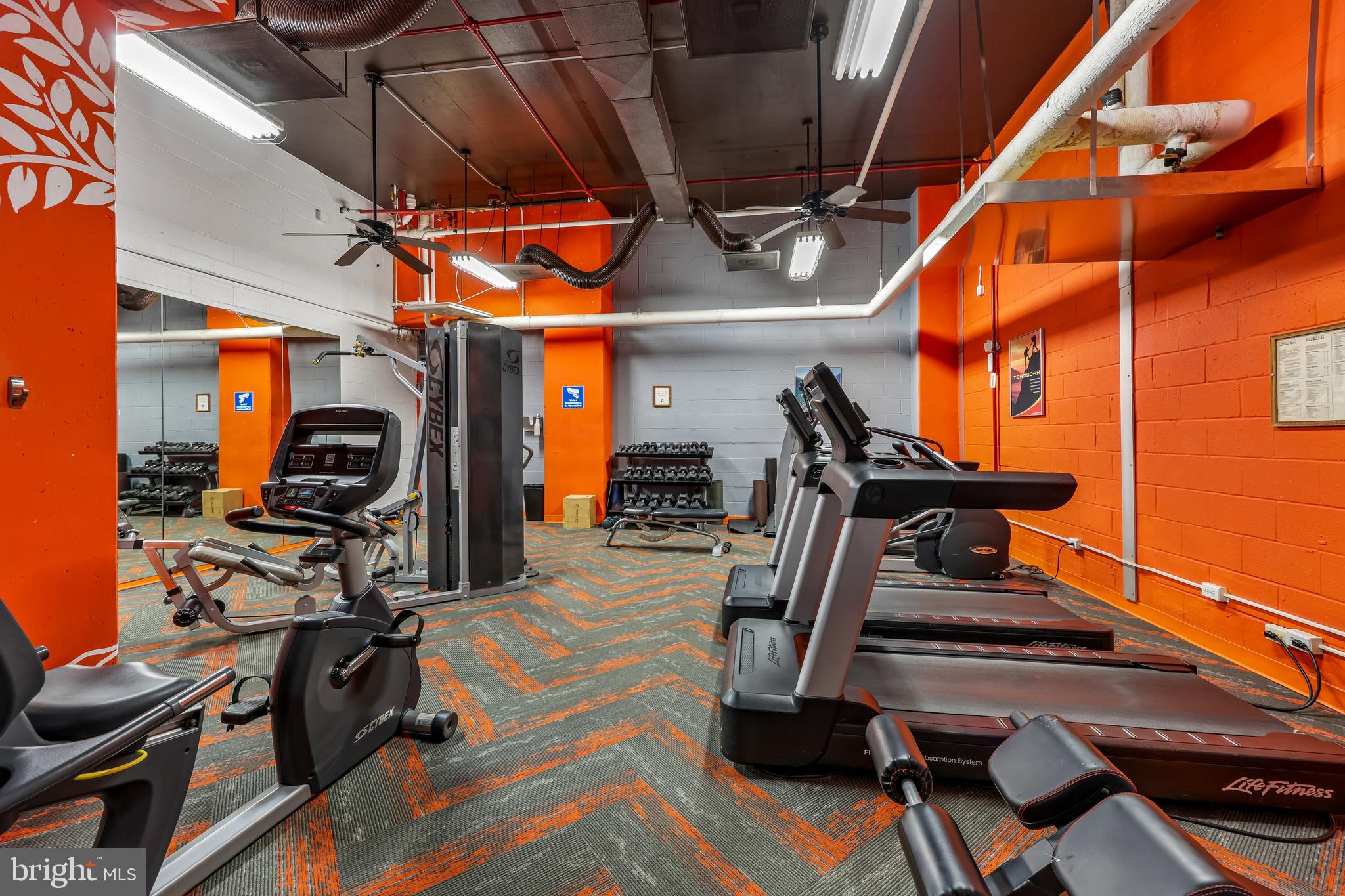 1225 MARTHA CUSTIS DRIVE 216