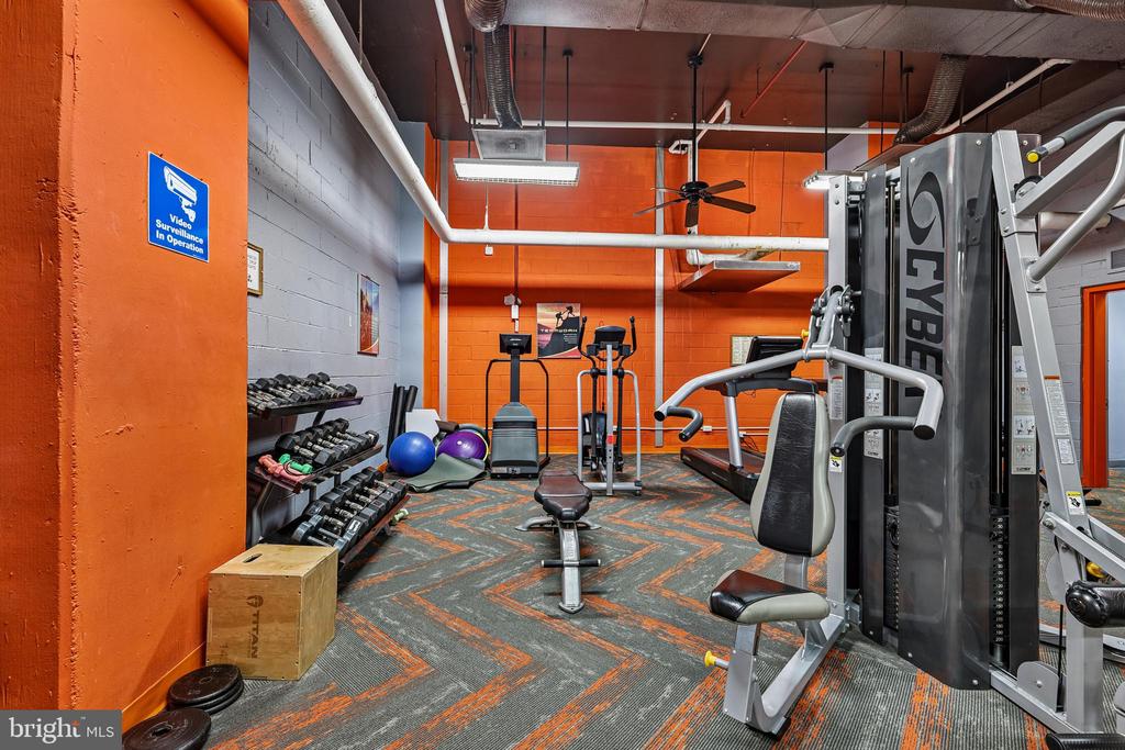 1225 MARTHA CUSTIS DRIVE 216