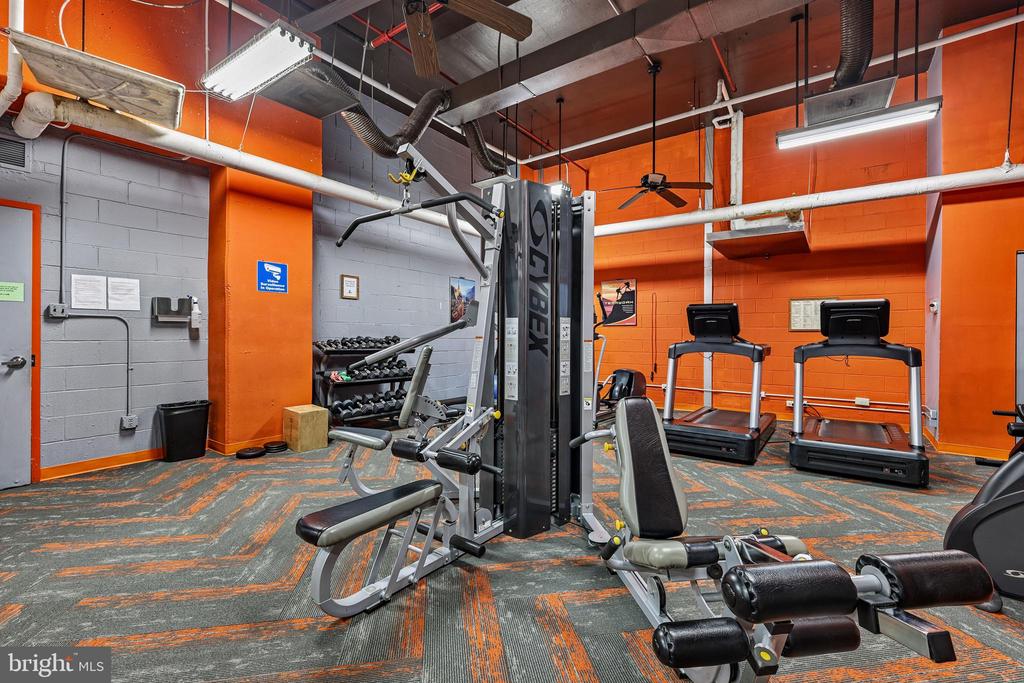 1225 MARTHA CUSTIS DRIVE 216