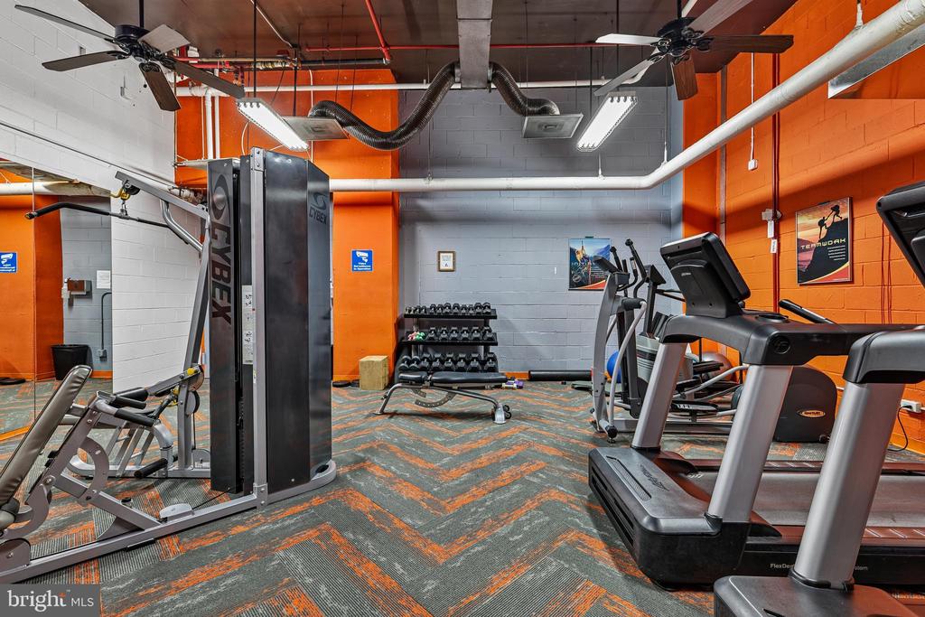 1225 MARTHA CUSTIS DRIVE 216