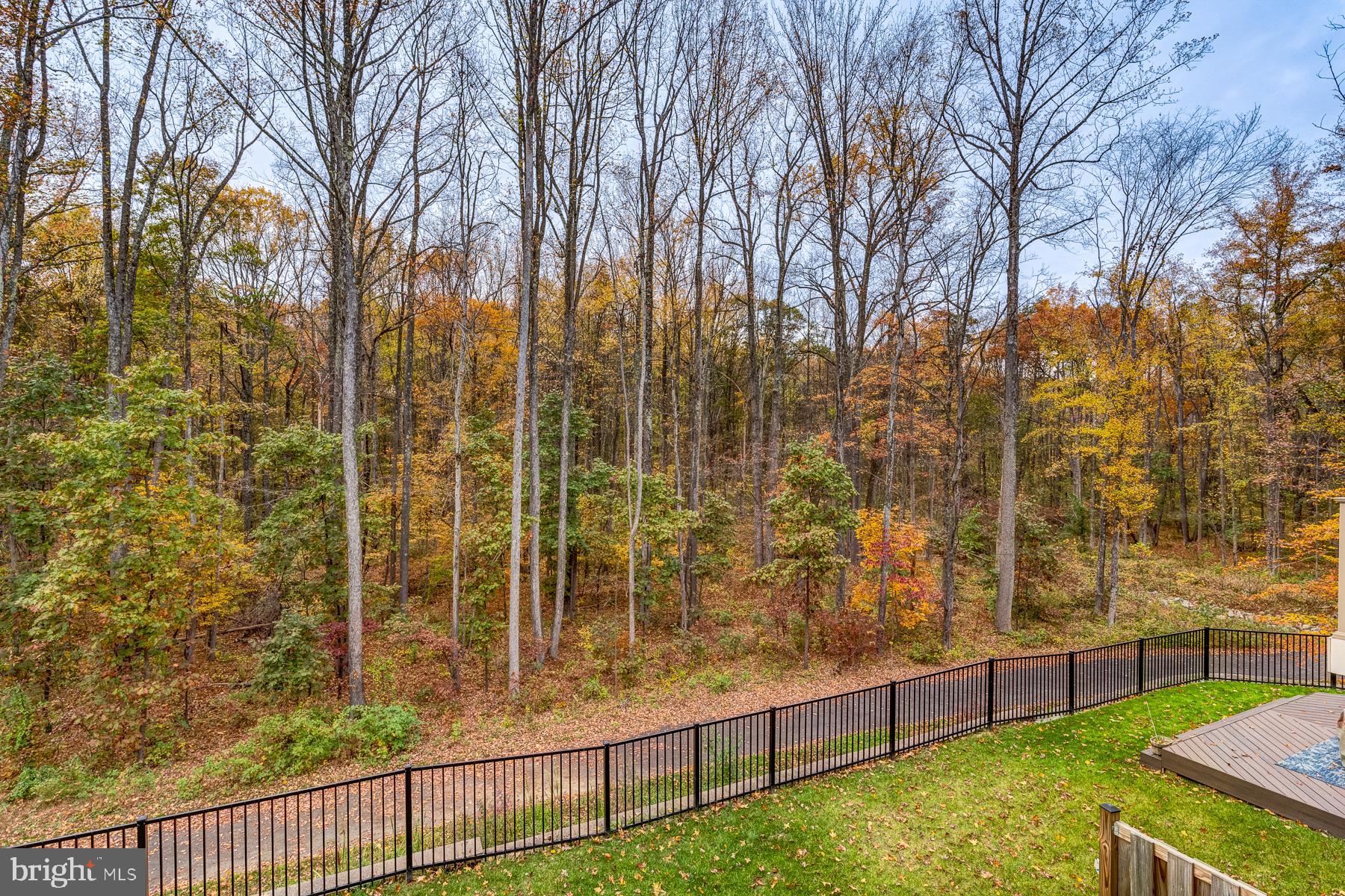 7354 Thomas Grant Dr