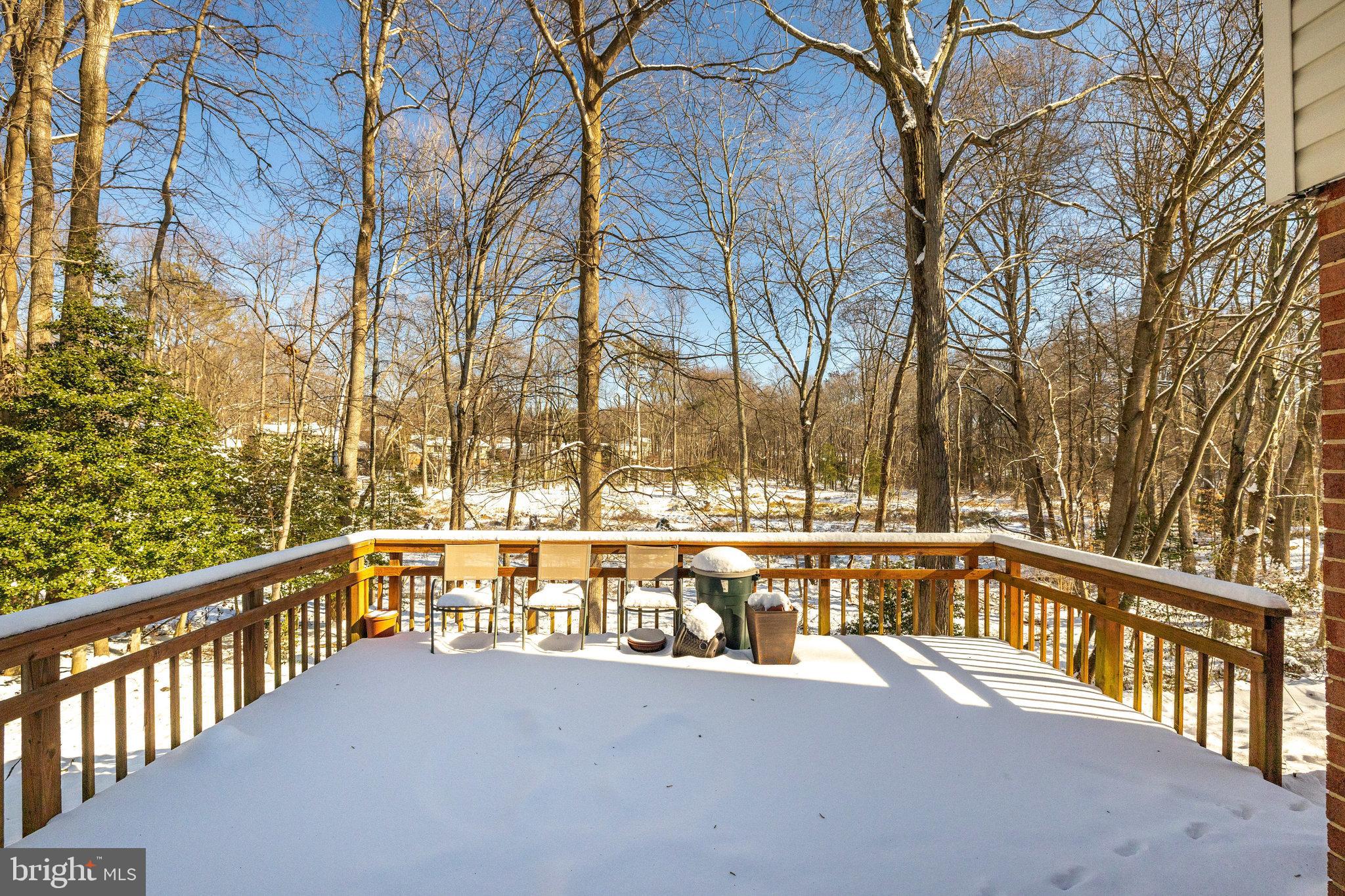 10302 Collingham DRIVE