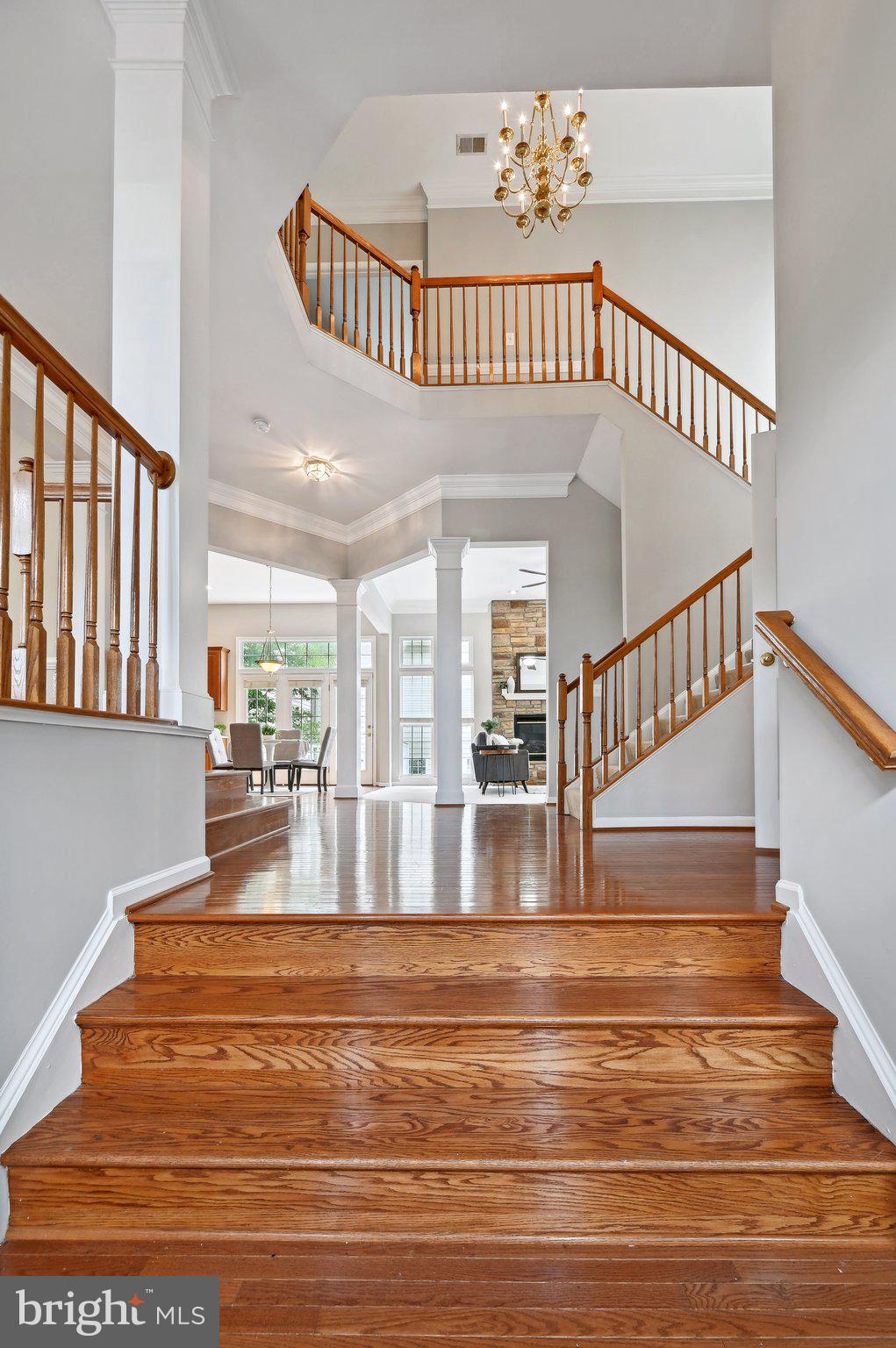 9173 Ciri Inlet Ct