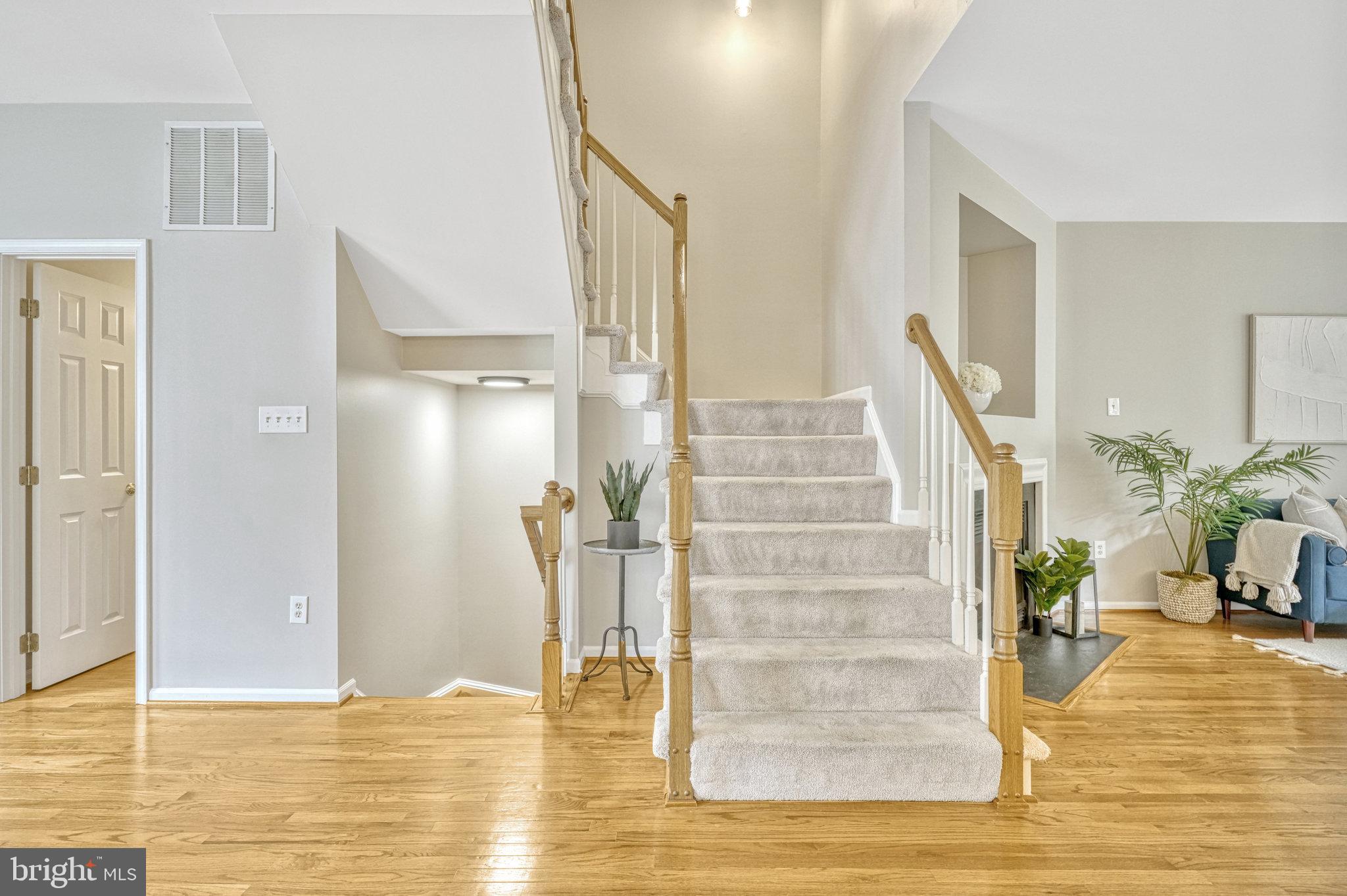7319 Hampton Manor Pl
