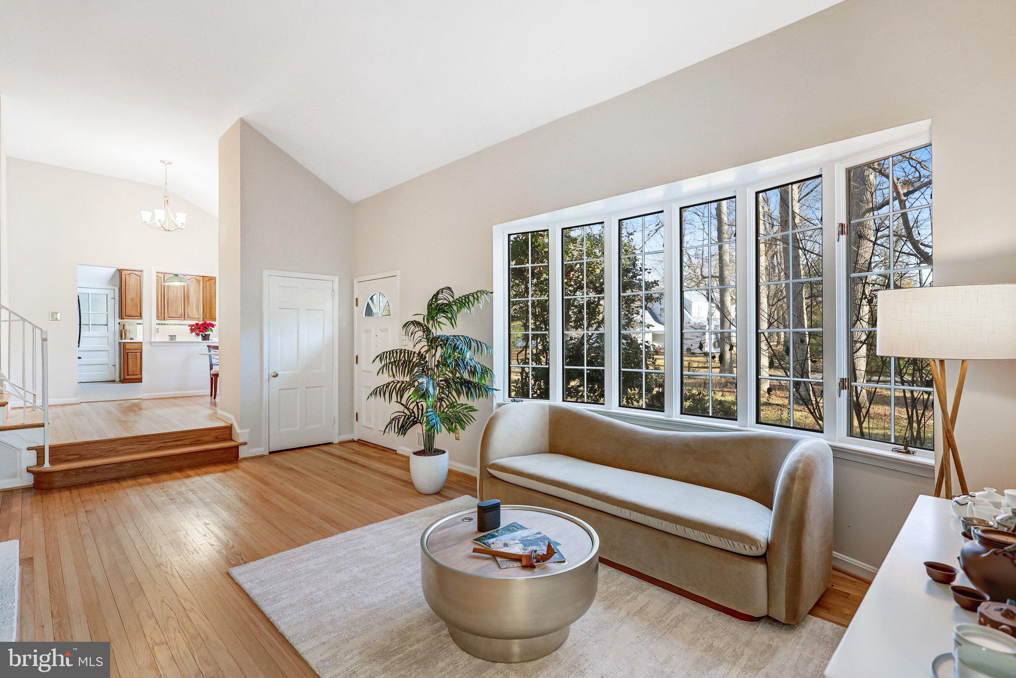 9232 FOREST HAVEN DRIVE