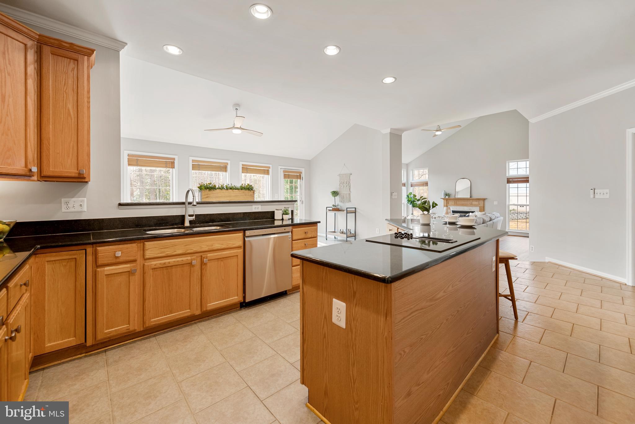 13254 AMBLEWOOD DRIVE