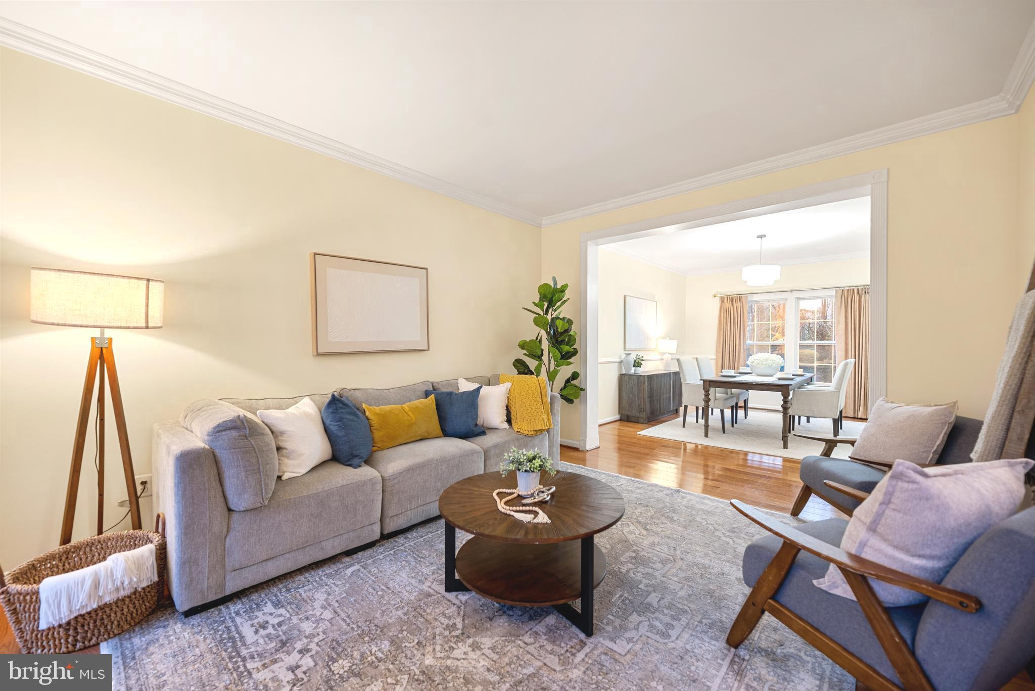 13254 AMBLEWOOD DRIVE