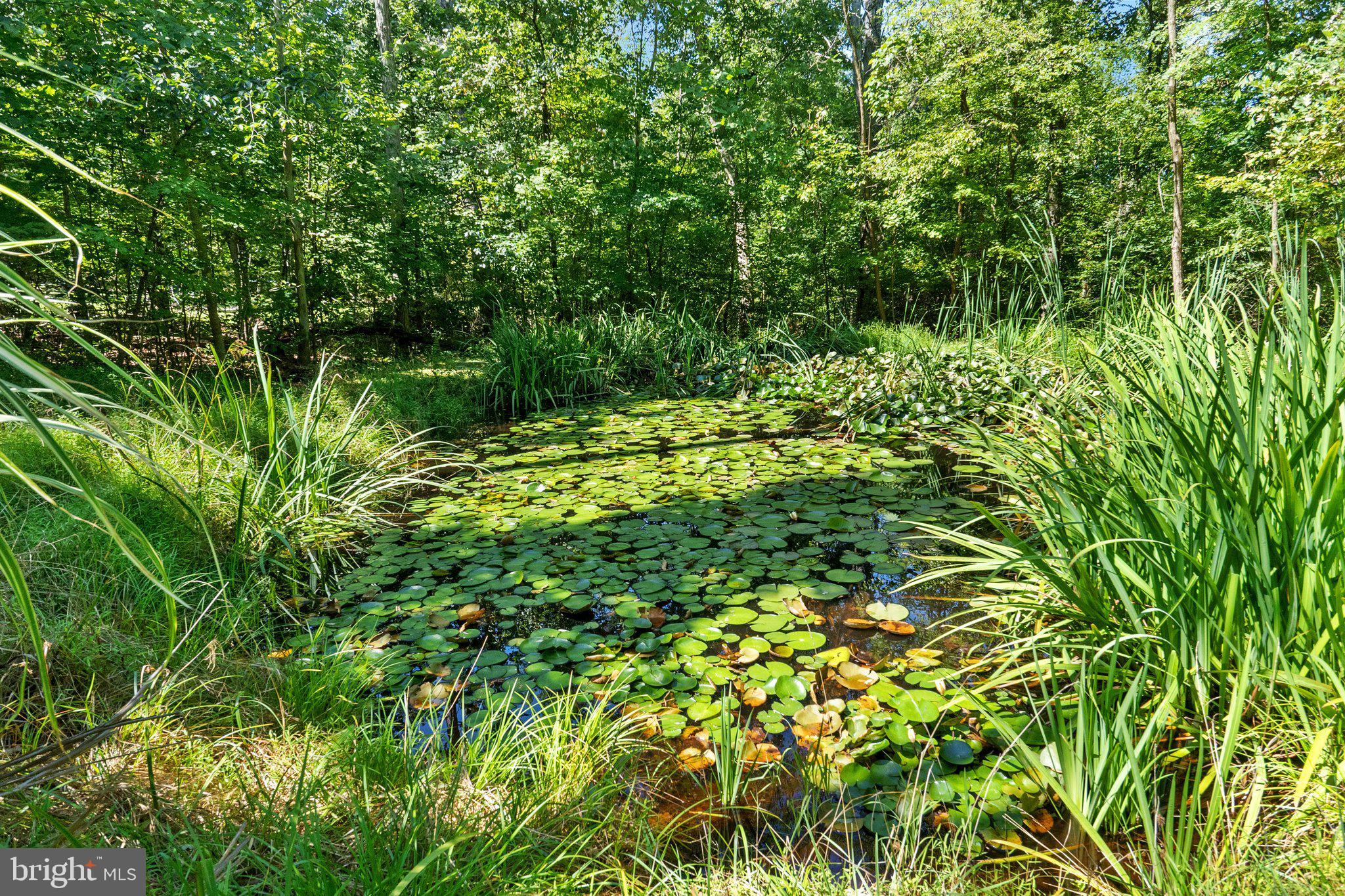 174 Twin Pond View Dr
