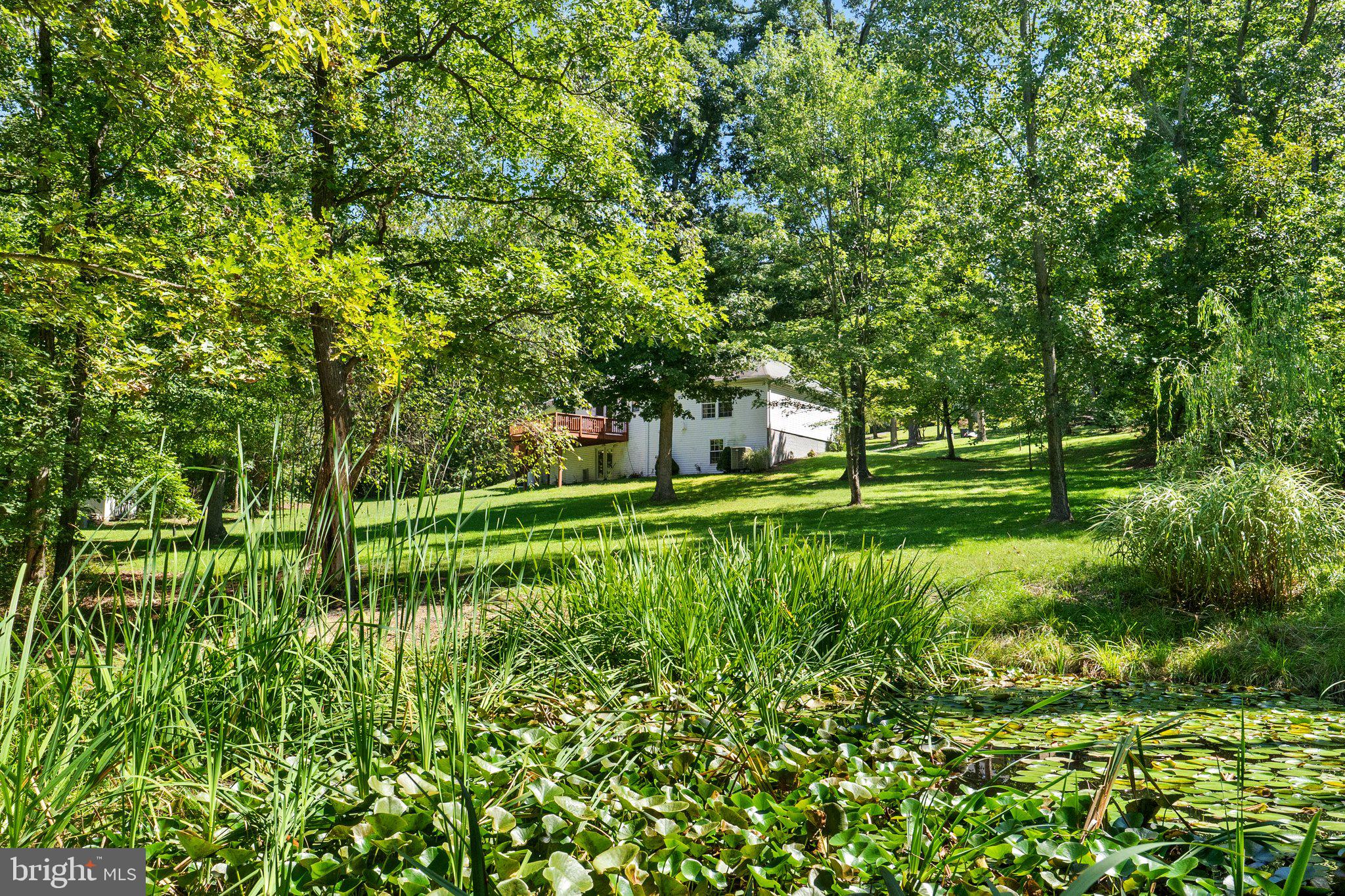 174 Twin Pond View Dr