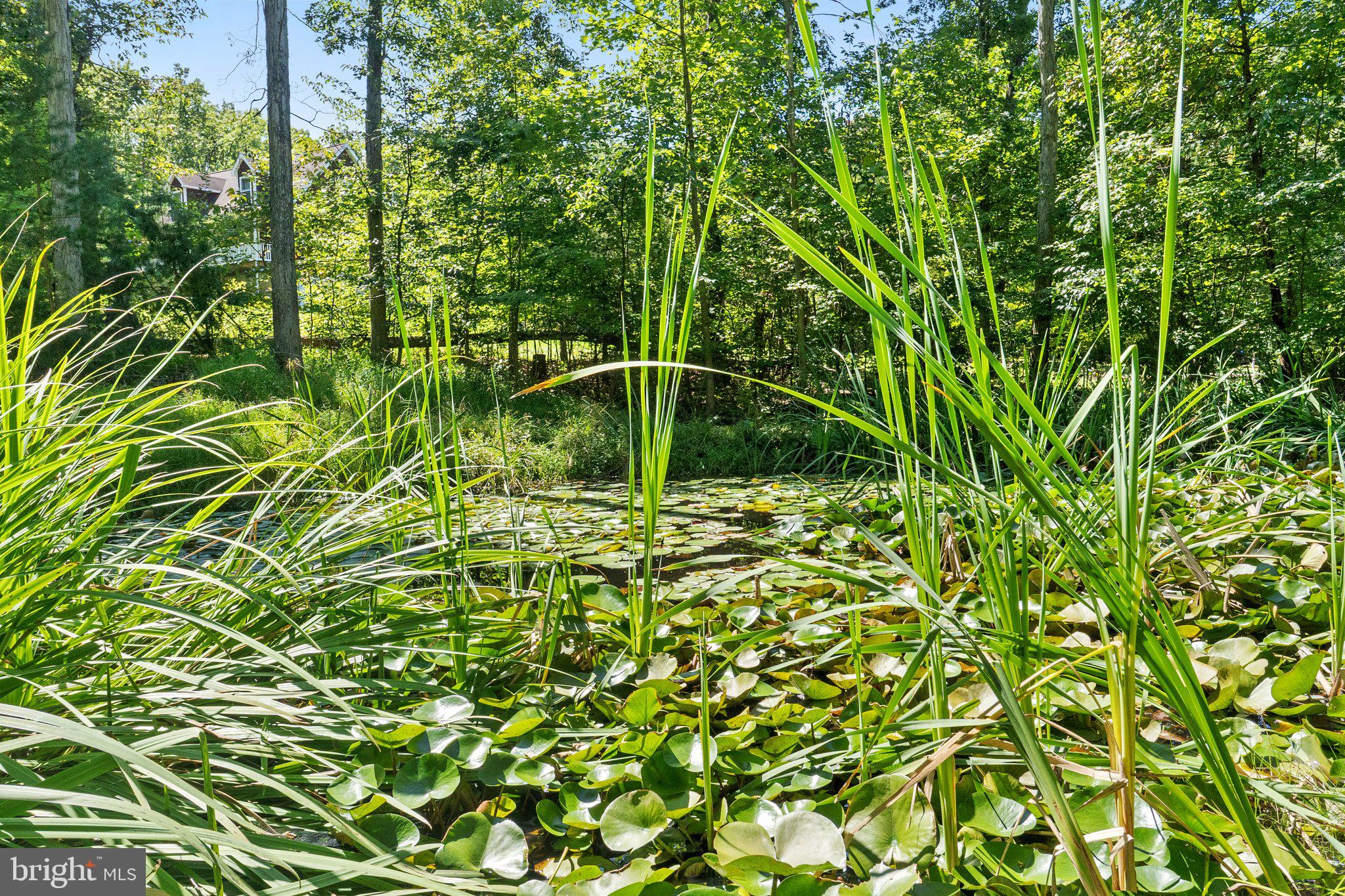174 Twin Pond View Dr