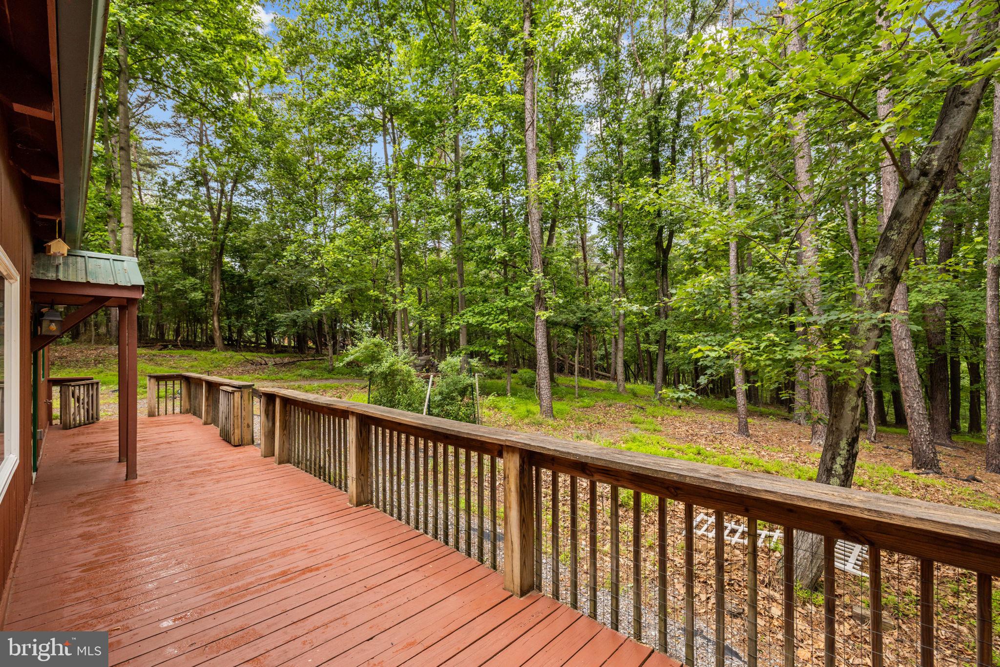 295 CREEKVIEW LANE