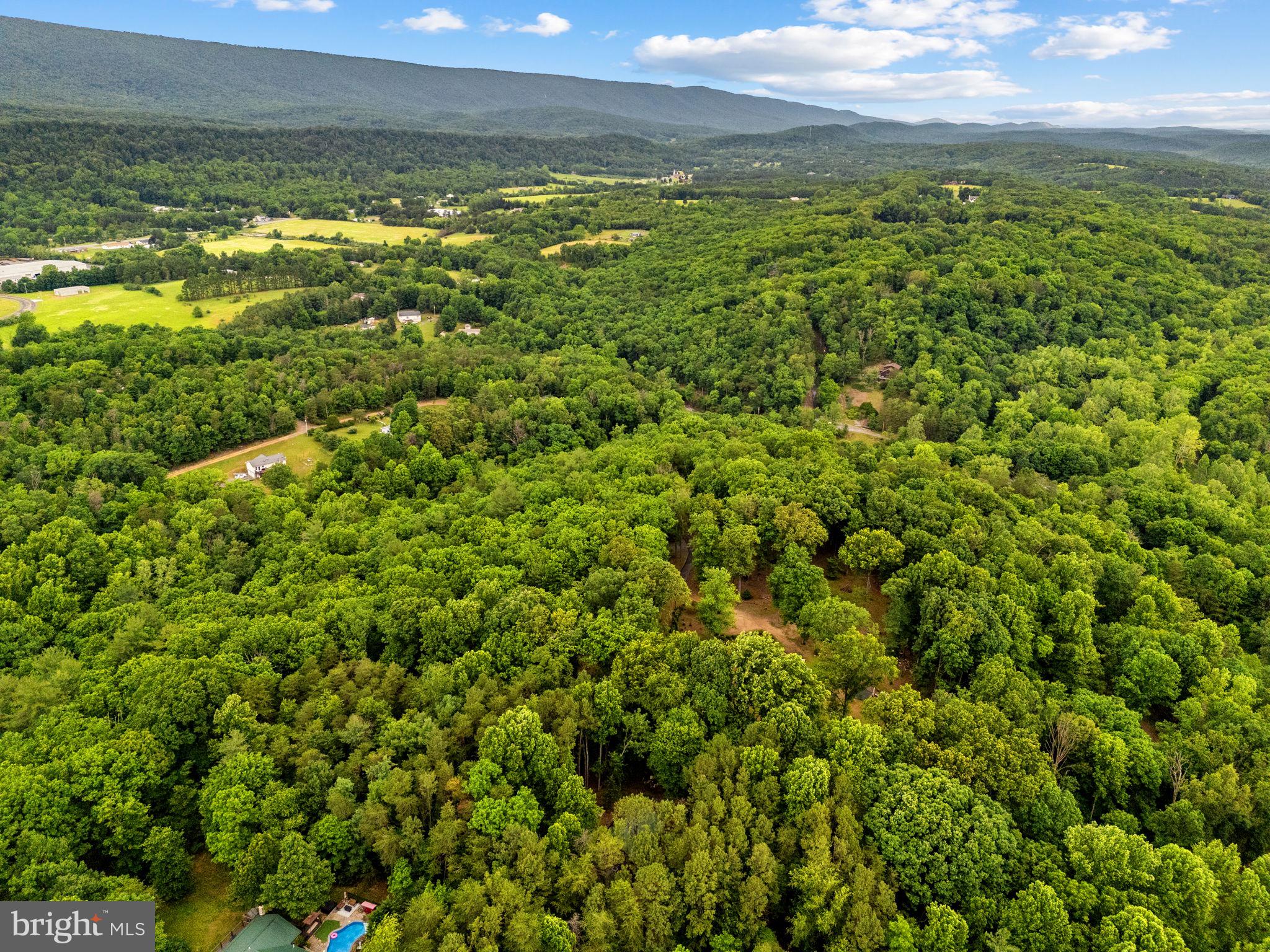 295 CREEKVIEW LANE