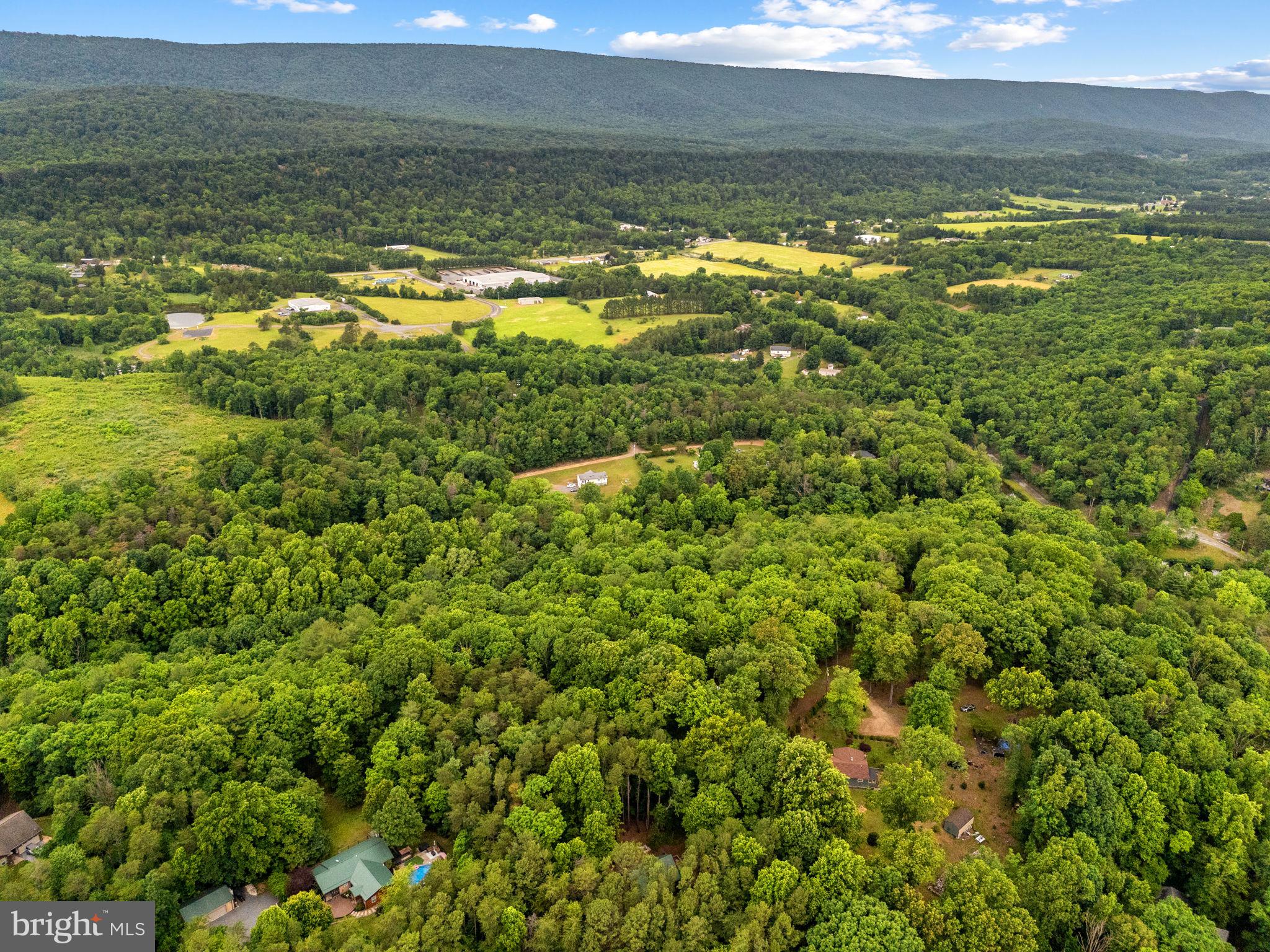 295 CREEKVIEW LANE