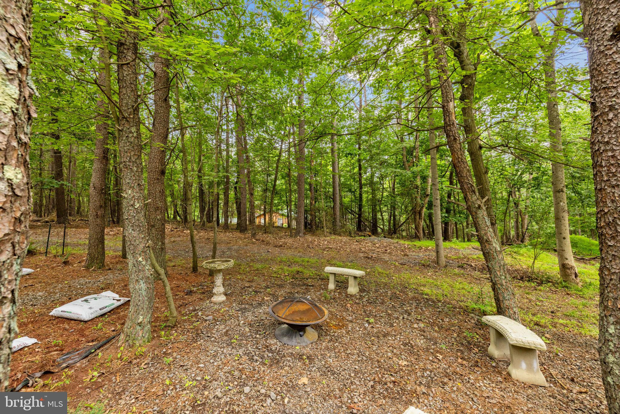295 CREEKVIEW LANE