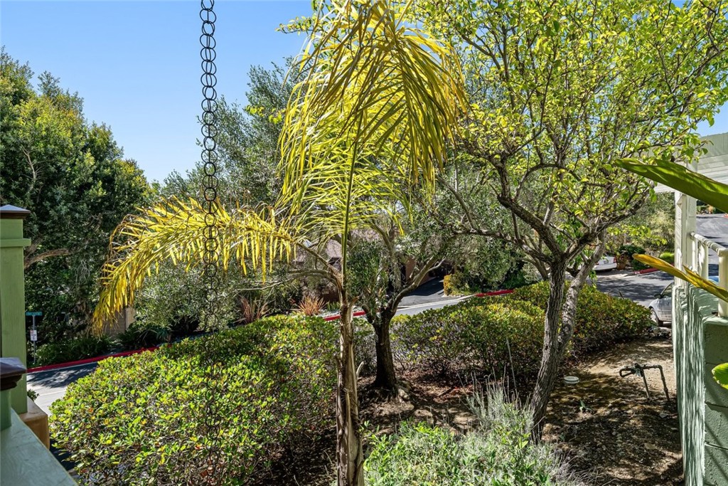 262 Loma Bonita 32