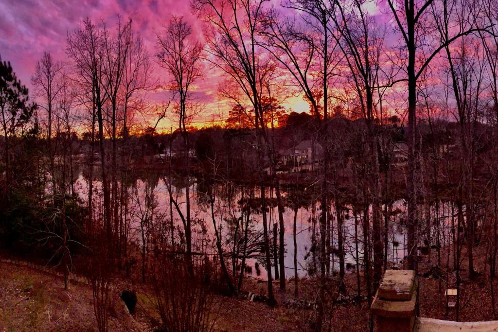 1315 Rolling Links Drive