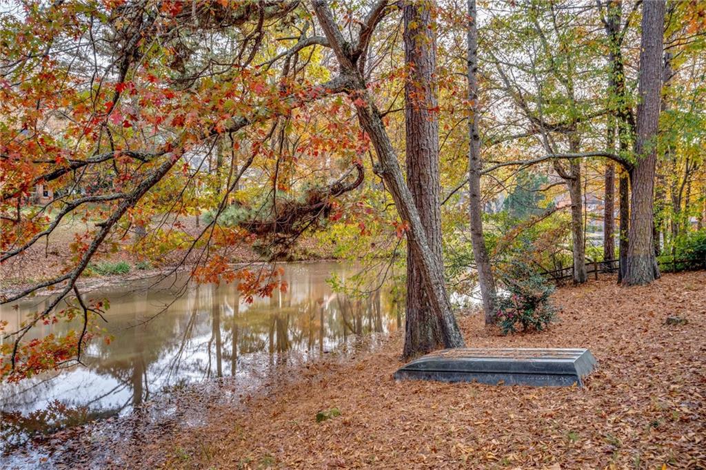 1120 Mountain Ivy Drive