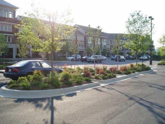 6288 Village Arbor Lane