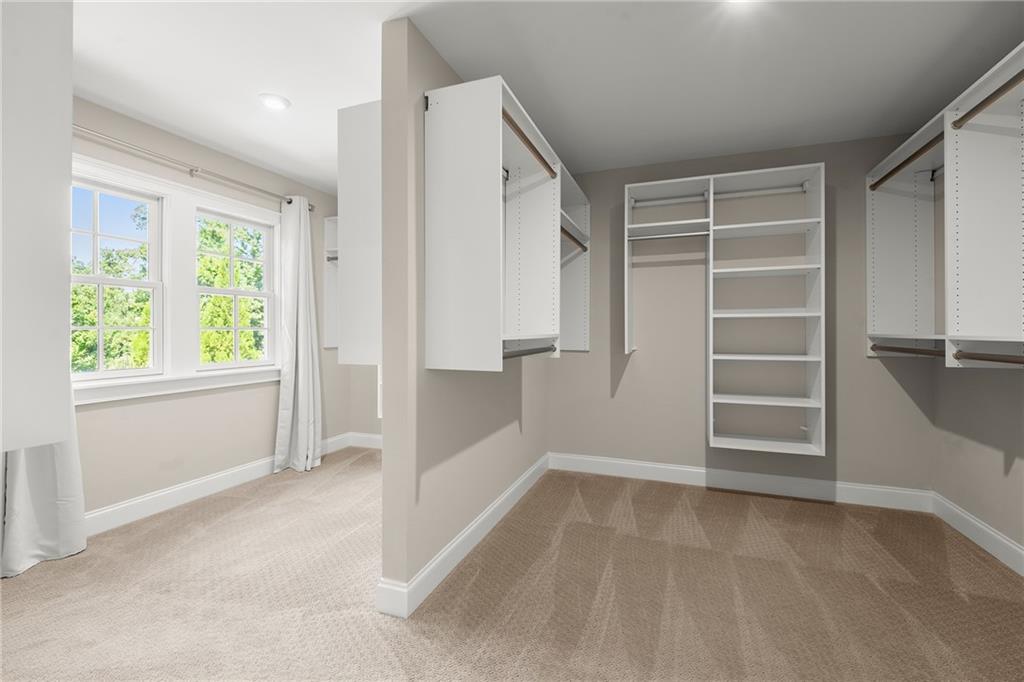 Walk-in closet with white built-in shelves, beige carpet, and two bright windows.