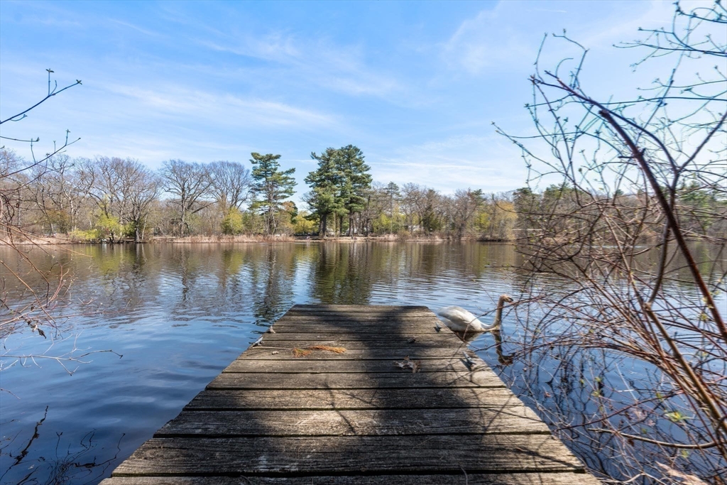 85 Kingswood Rd
