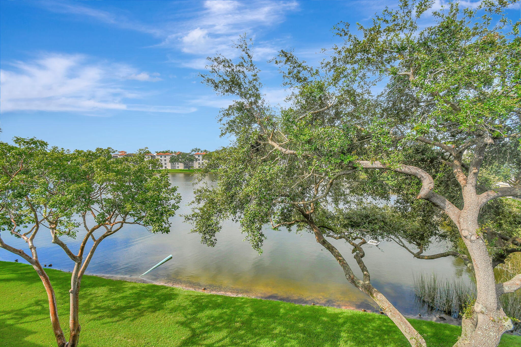6149 Pointe Regal Circle 407 (Ph-7)