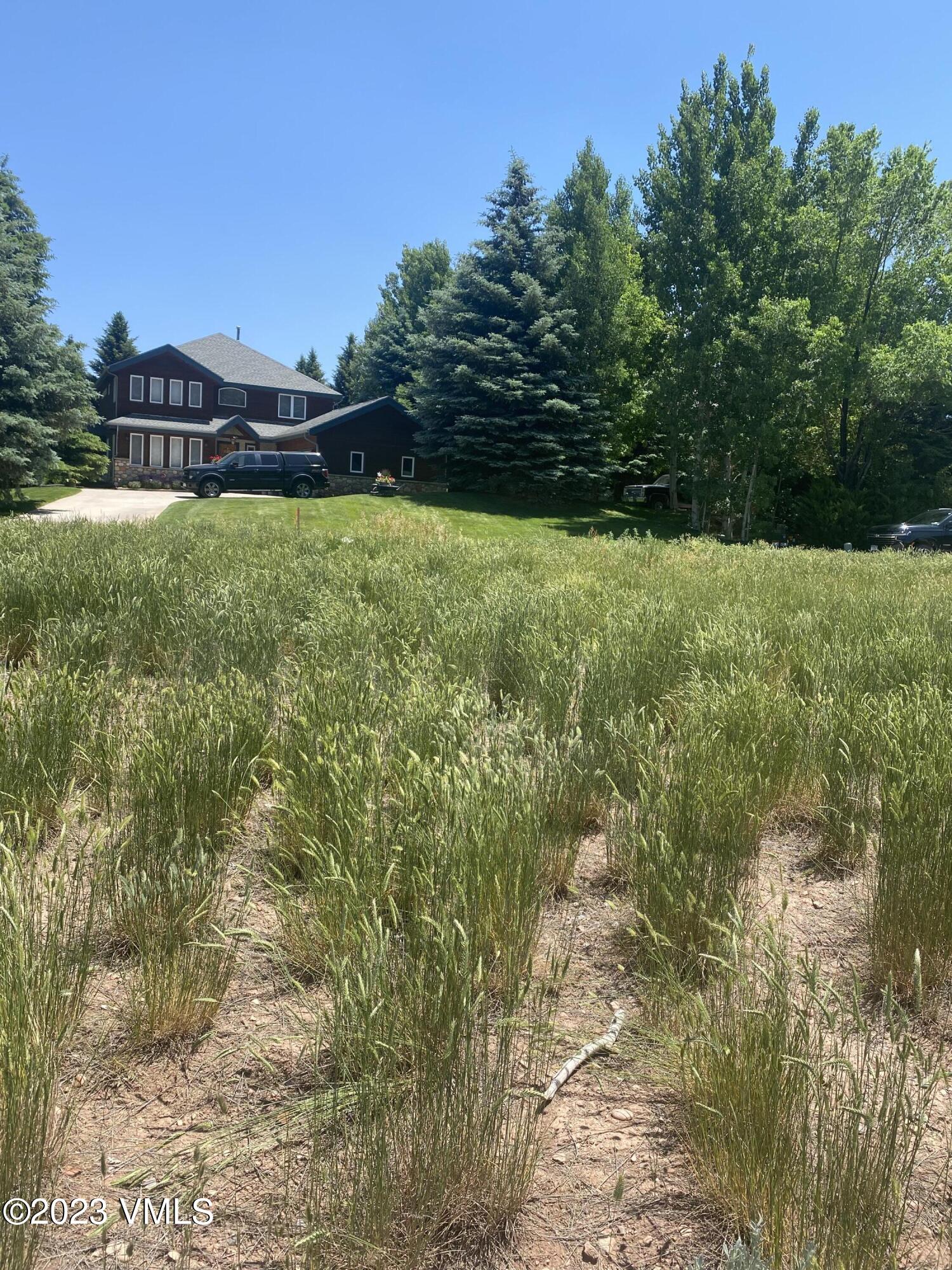 160 Black Bear Drive