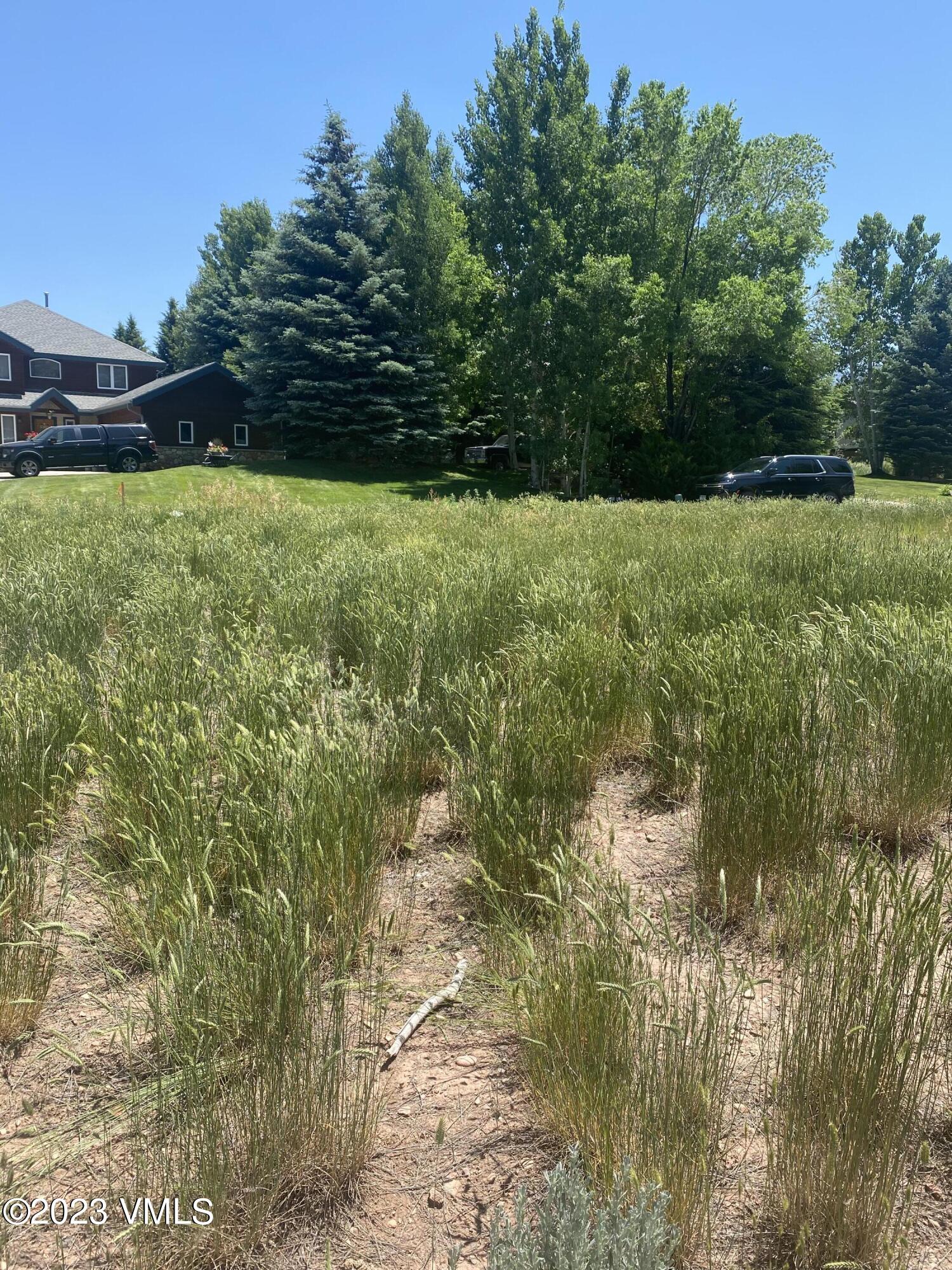 160 Black Bear Drive