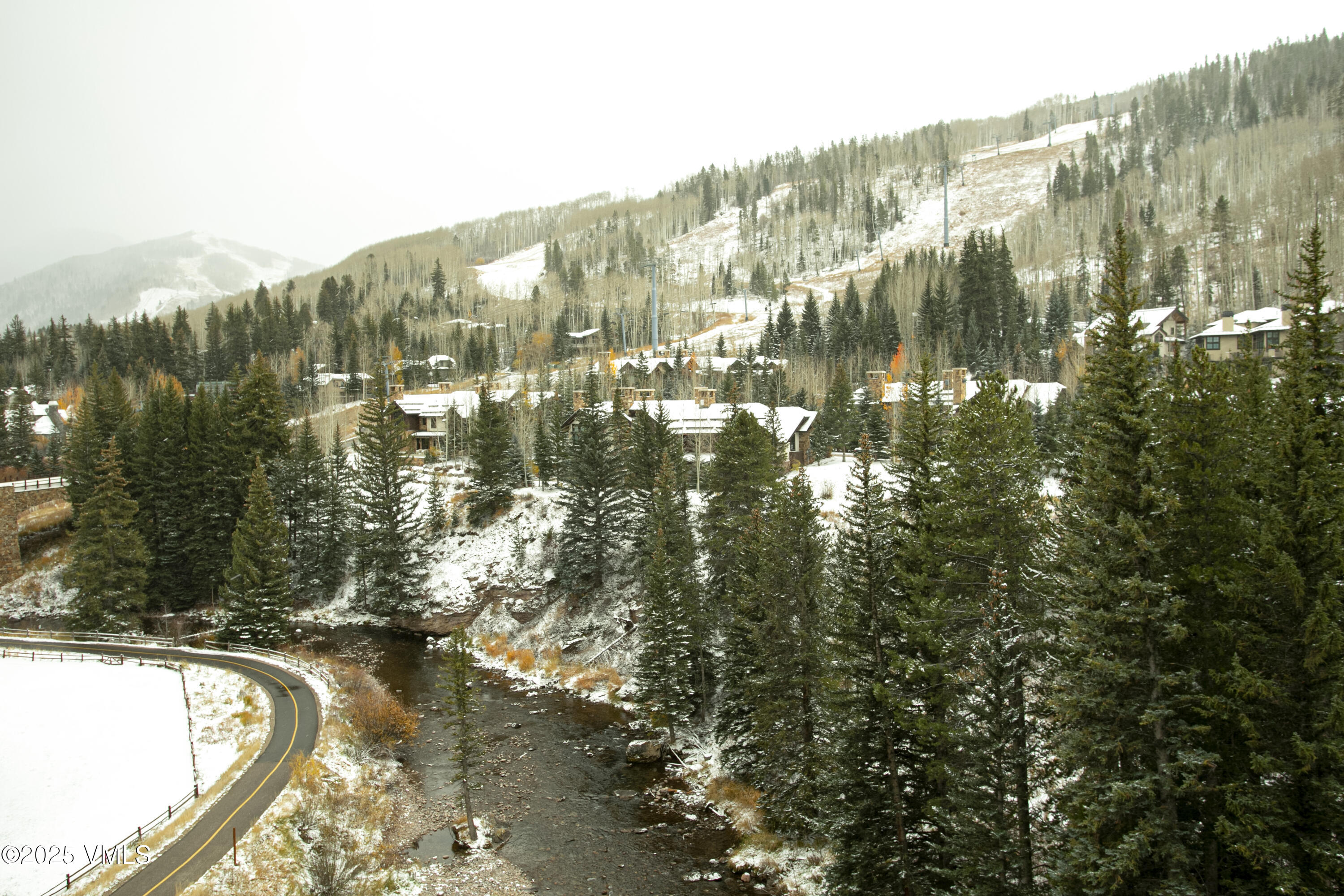 680 Lionshead Place 703