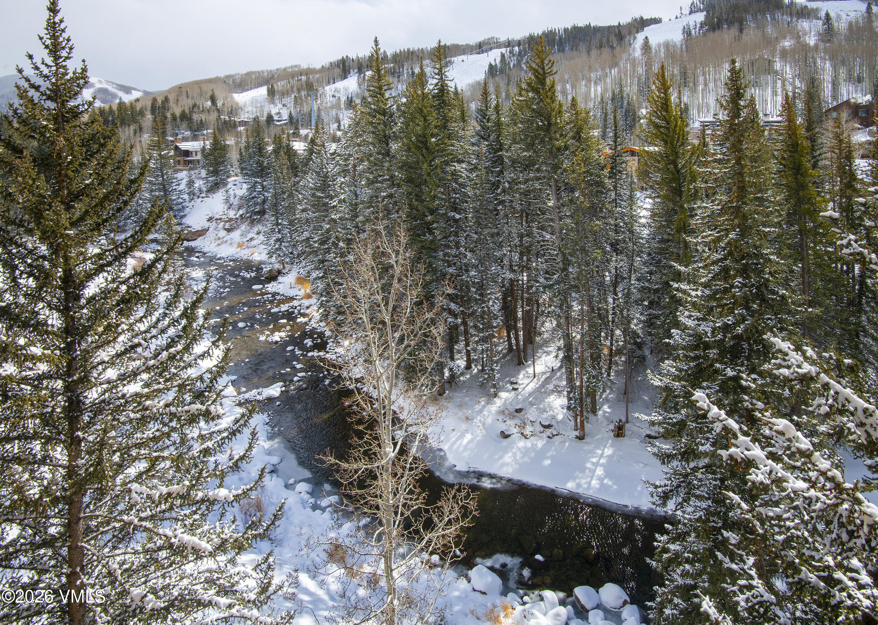 680 Lionshead Place 505