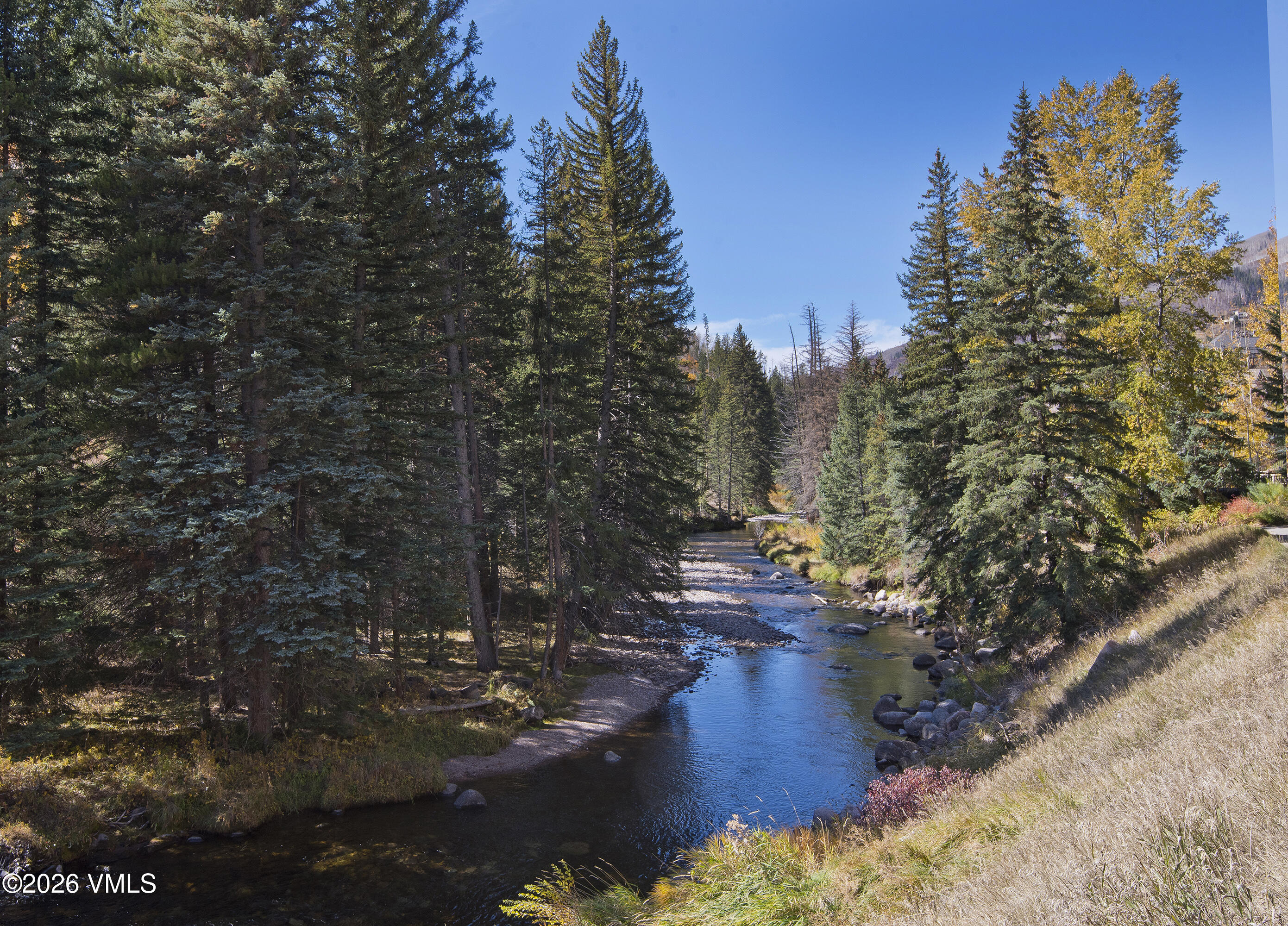 680 Lionshead Place 505