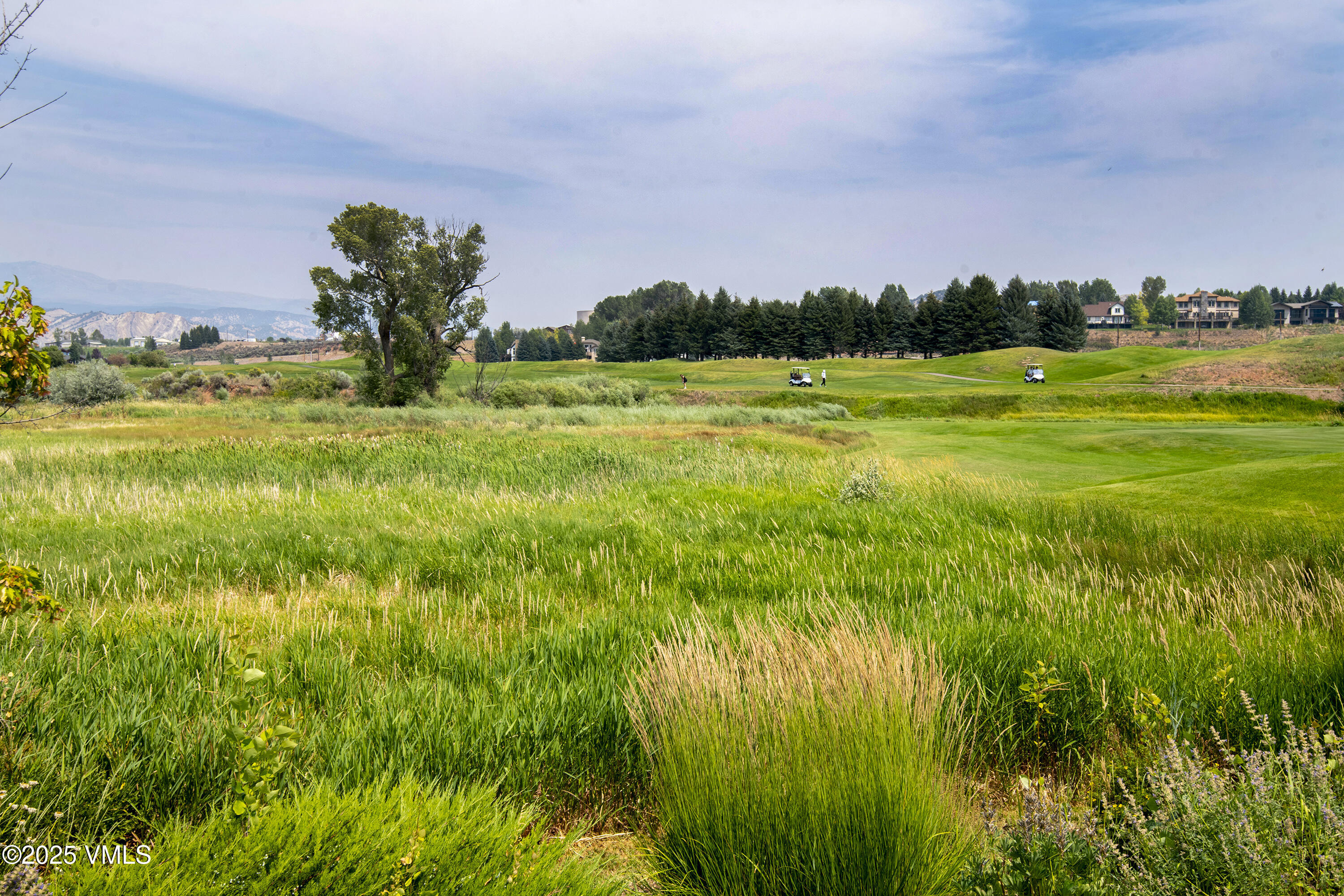 Golf course with tall grasses, golfers, tree-lined fairway, and distant mountain backdrop.