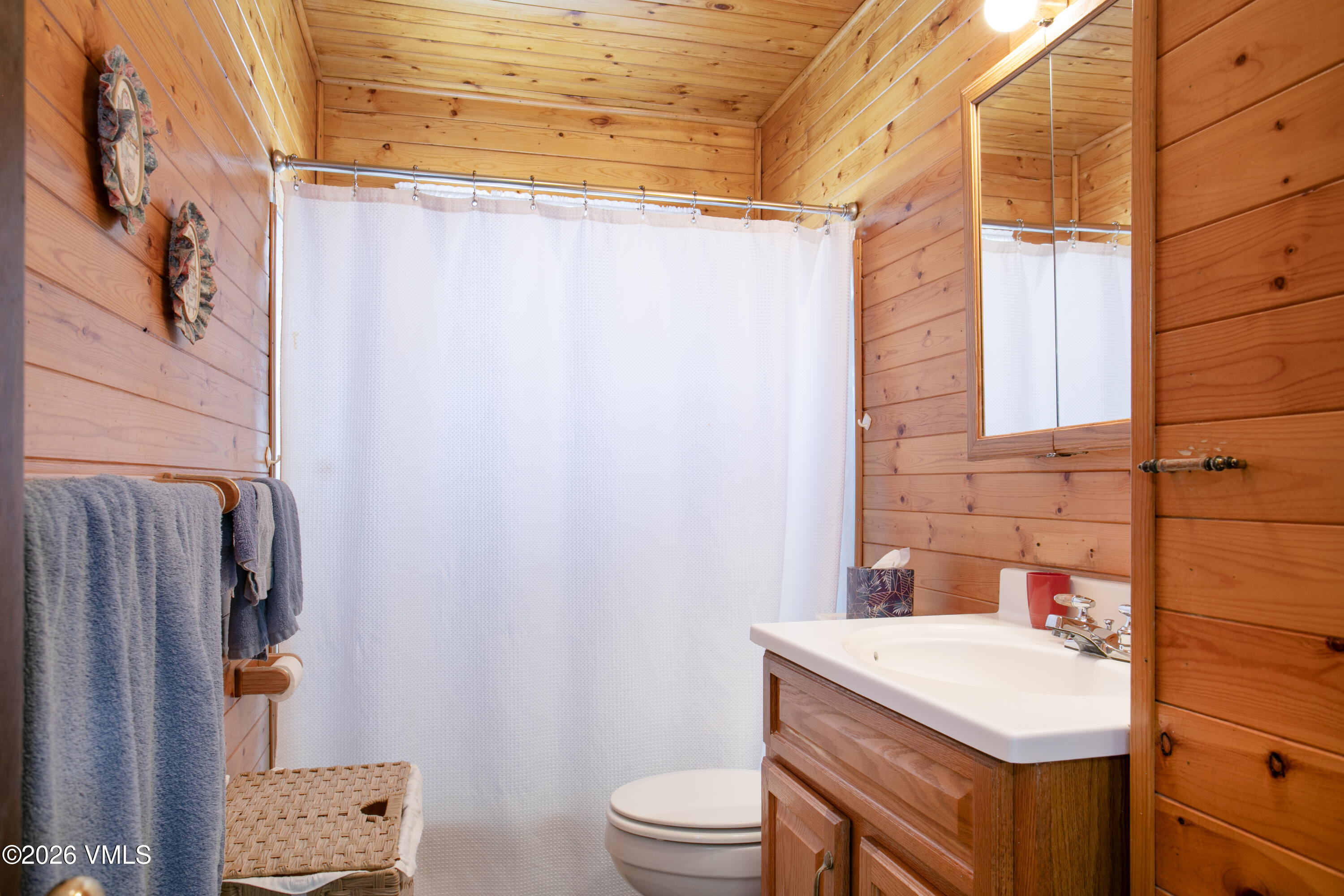 1308 Mount Massive Drive