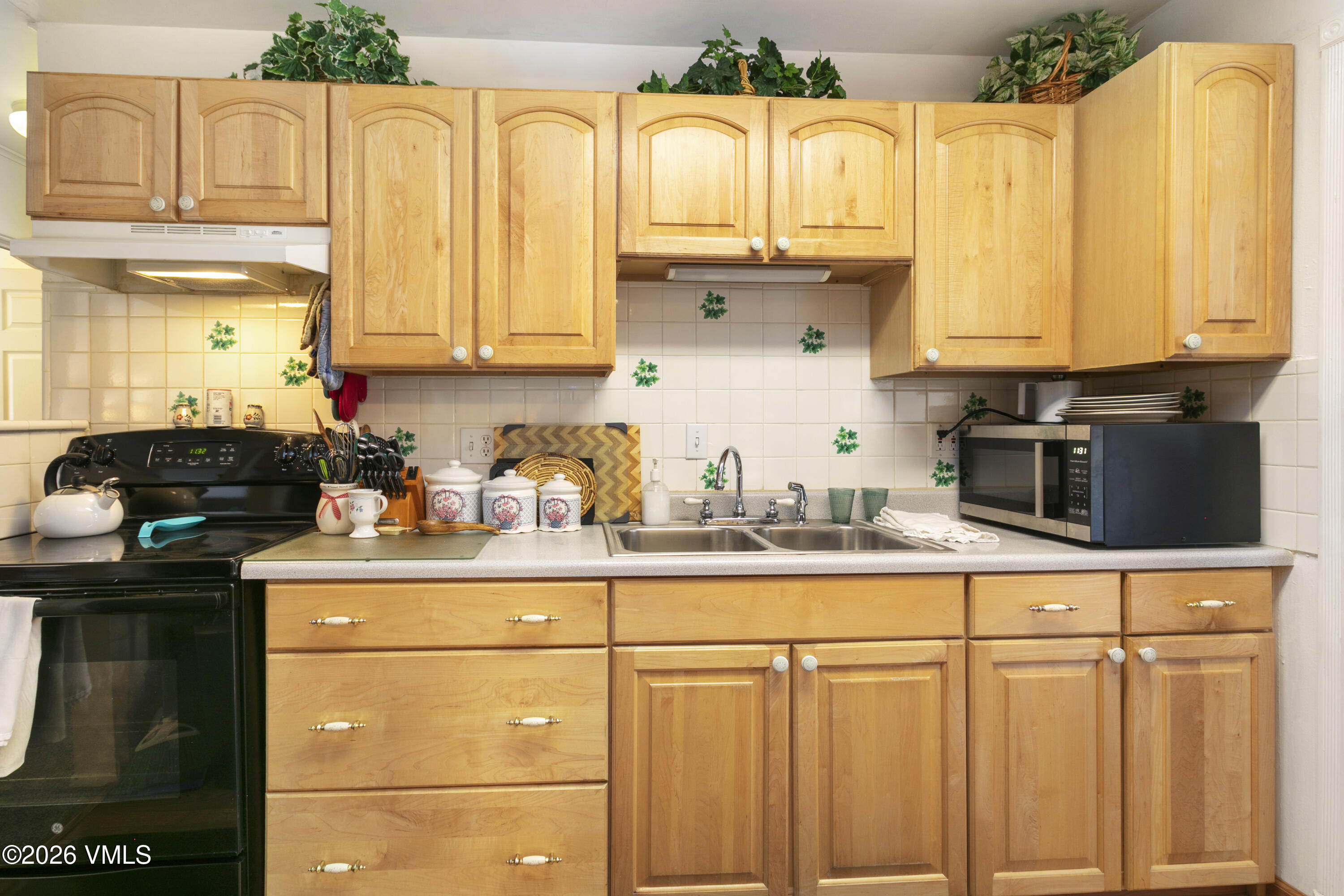 1308 Mount Massive Drive