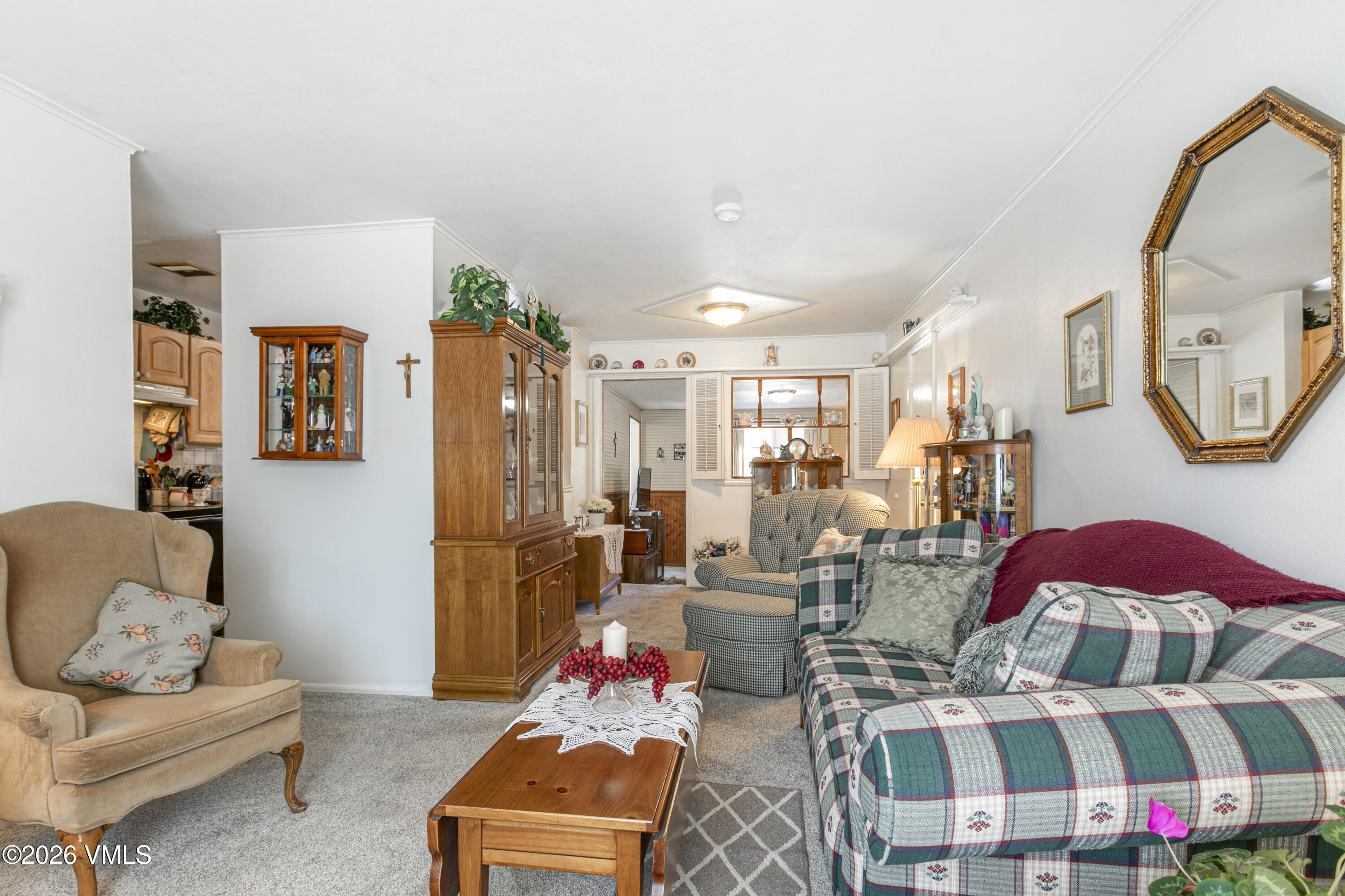 1308 Mount Massive Drive