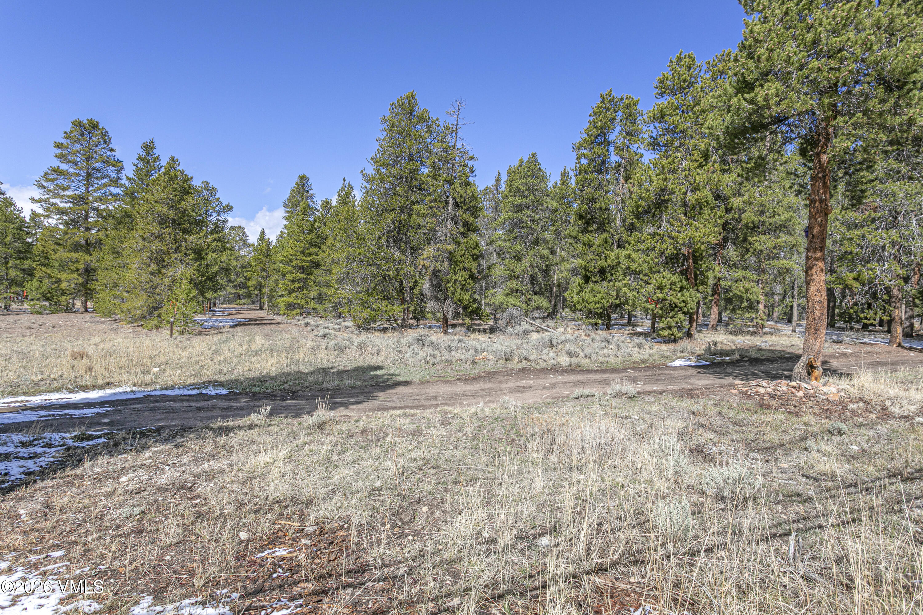 1308 Mount Massive Drive