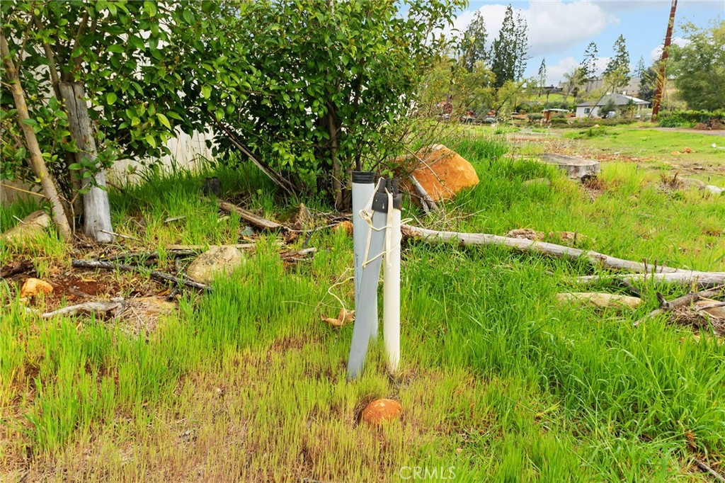 5798 Black Olive Drive