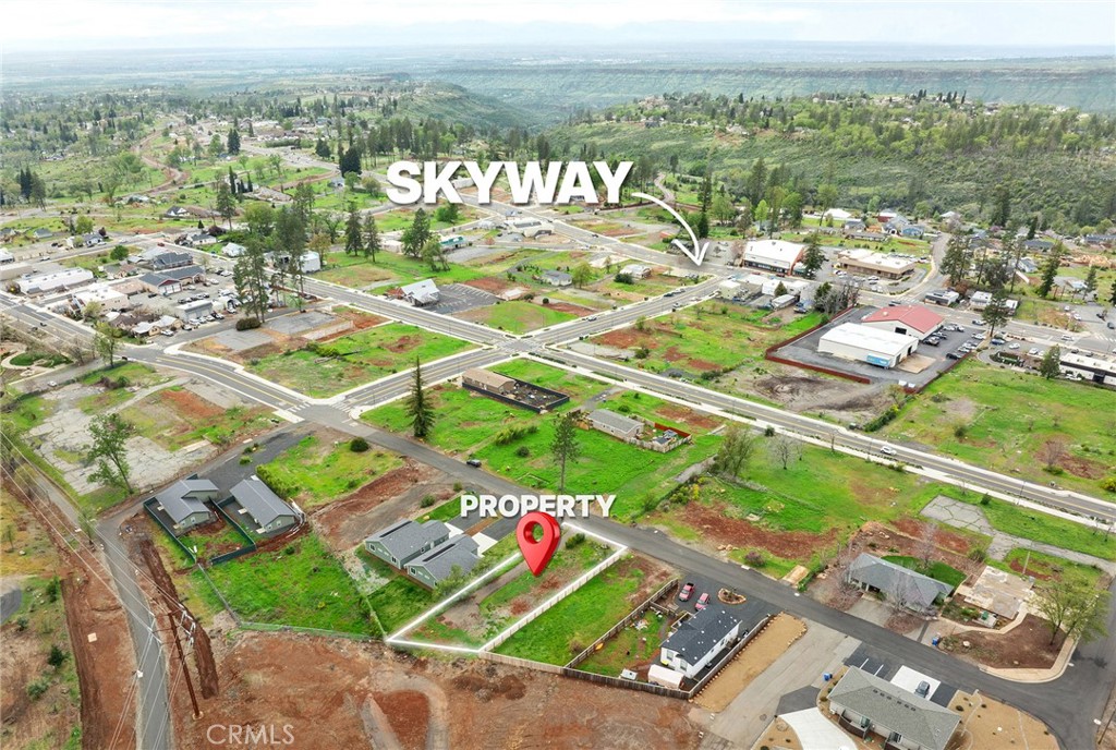 5798 Black Olive Drive