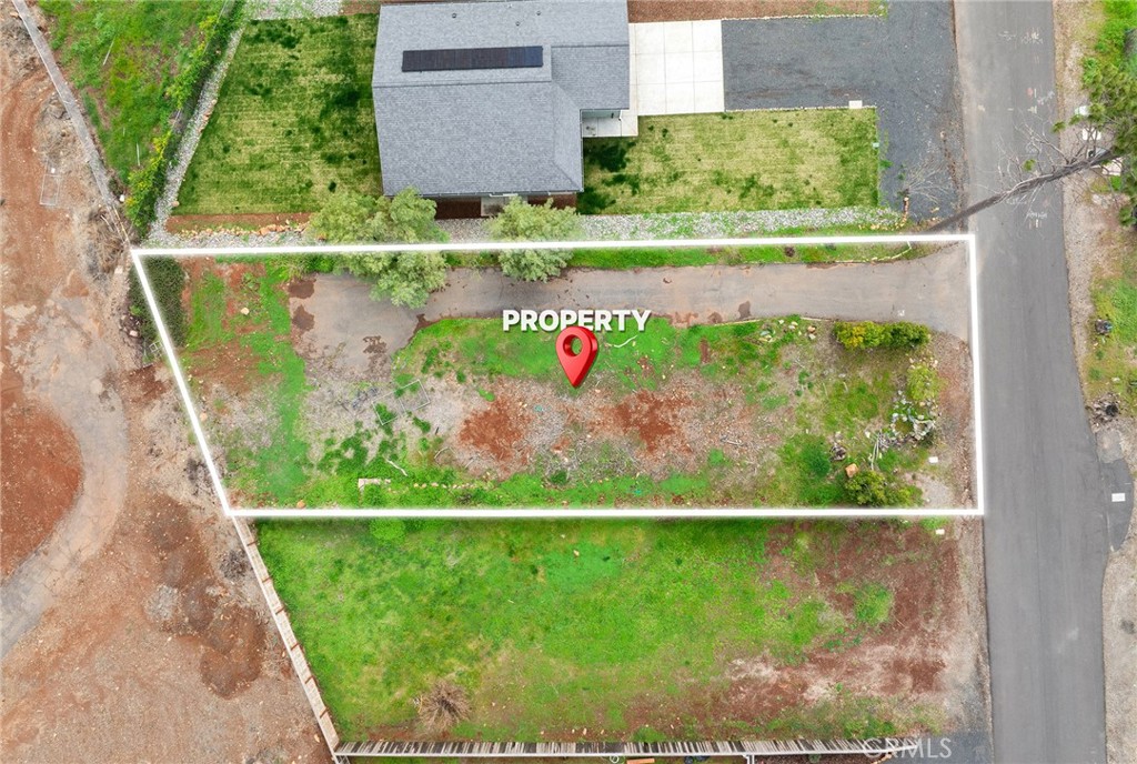 5798 Black Olive Drive